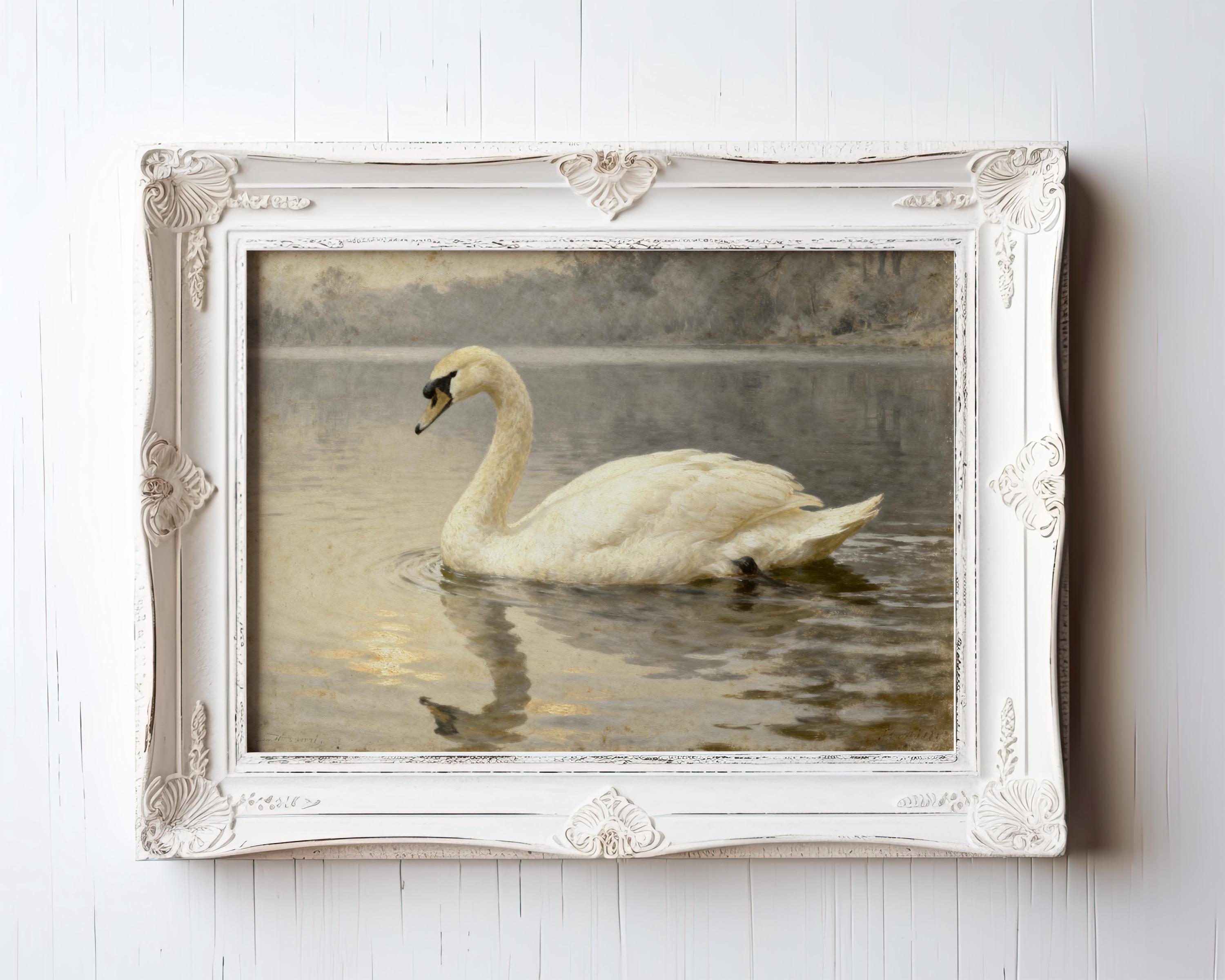 The Swan Art Print – Vintage Nature Wall Decor features a white swan gliding across a tranquil lake, framed in an ornate white archival quality frame with decorative corners—perfect rustic cottage artwork.