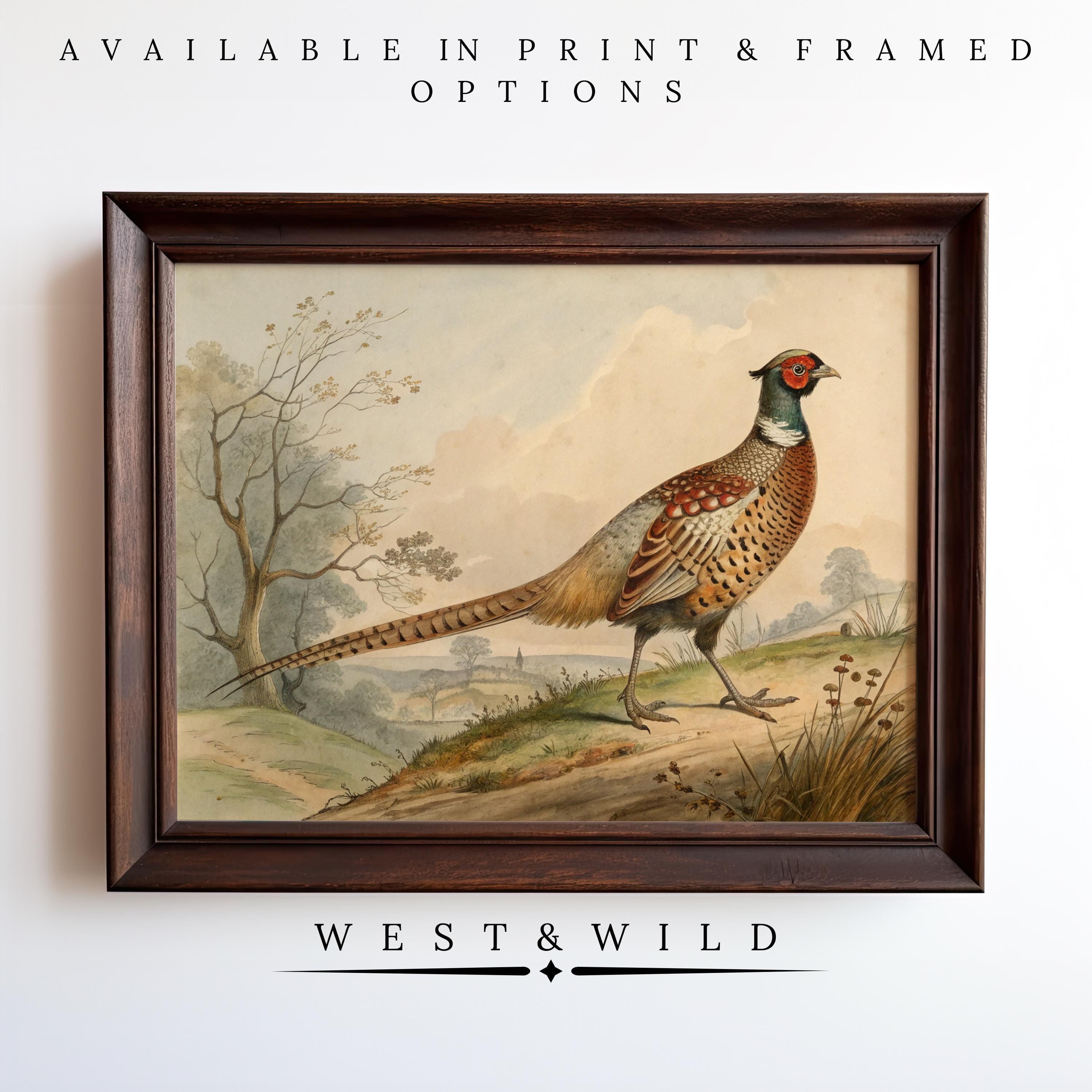 Pheasant Painting