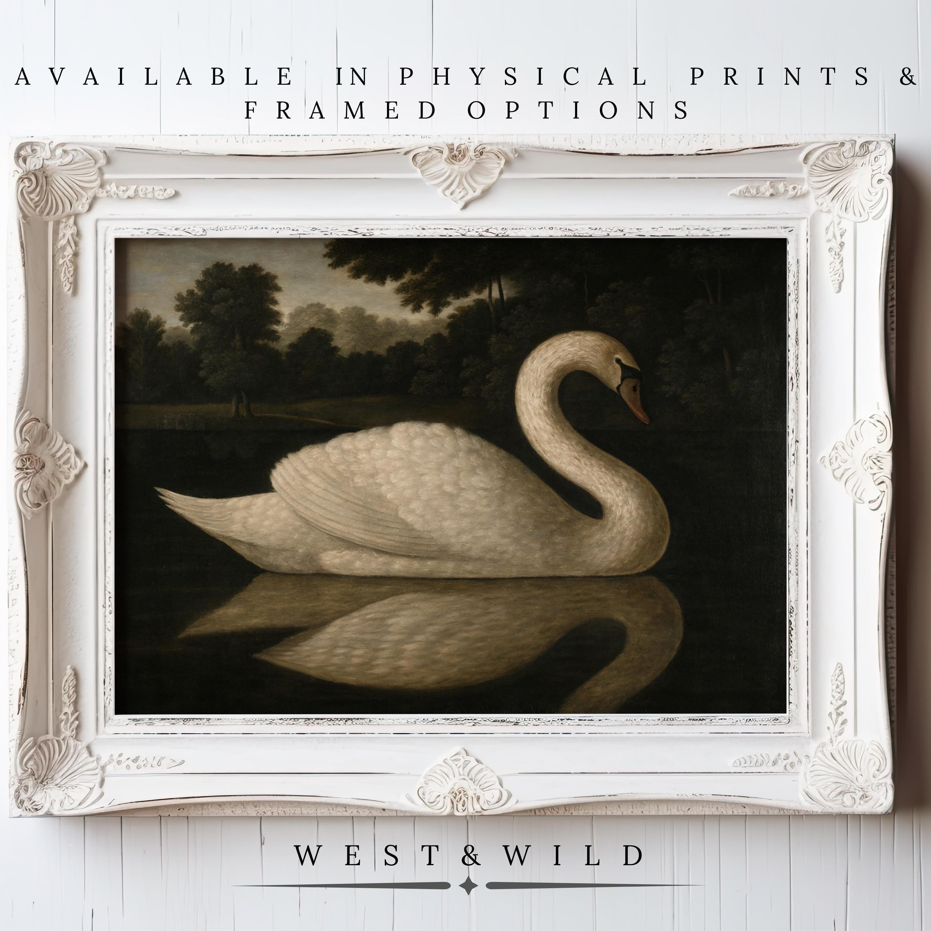 A framed Swan Wall Art vintage print features a classic swan illustration gliding on water, set in an ornate white frame. Elegant decor from West & Wild Art Archive promotes their vintage art prints and framing services.
