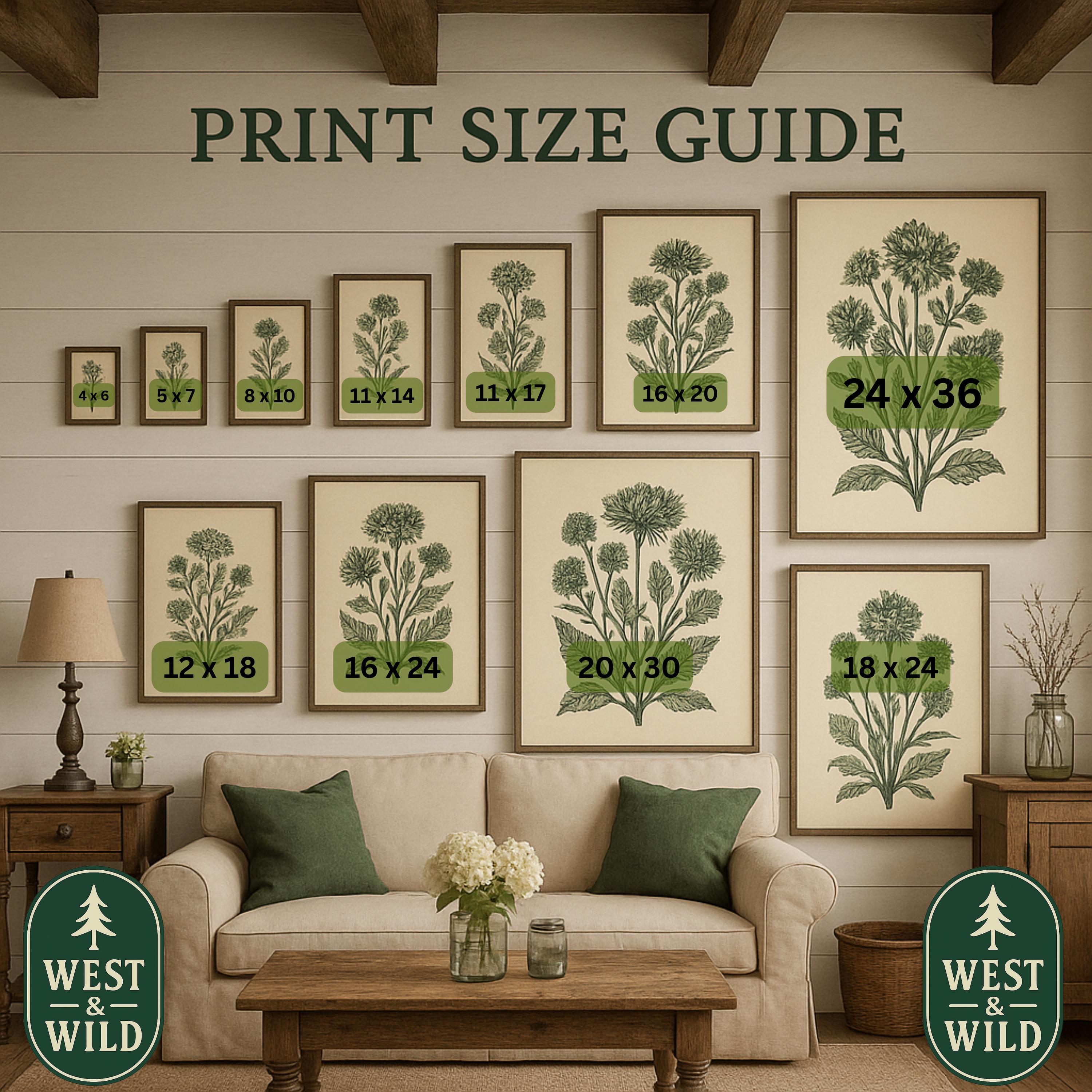 Wall art size guide showing scale from 4x6 to 24x36 over a sofa. Helps choose dimensions for all framed and unframed prints.