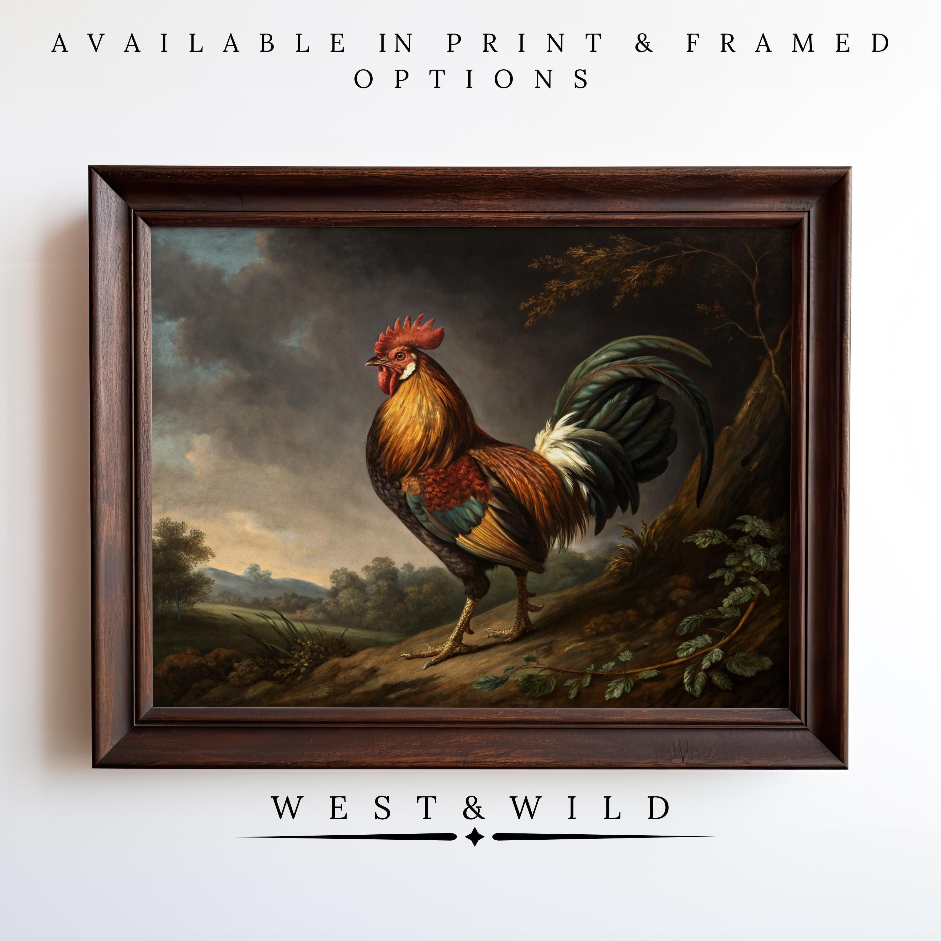 Rooster illustration