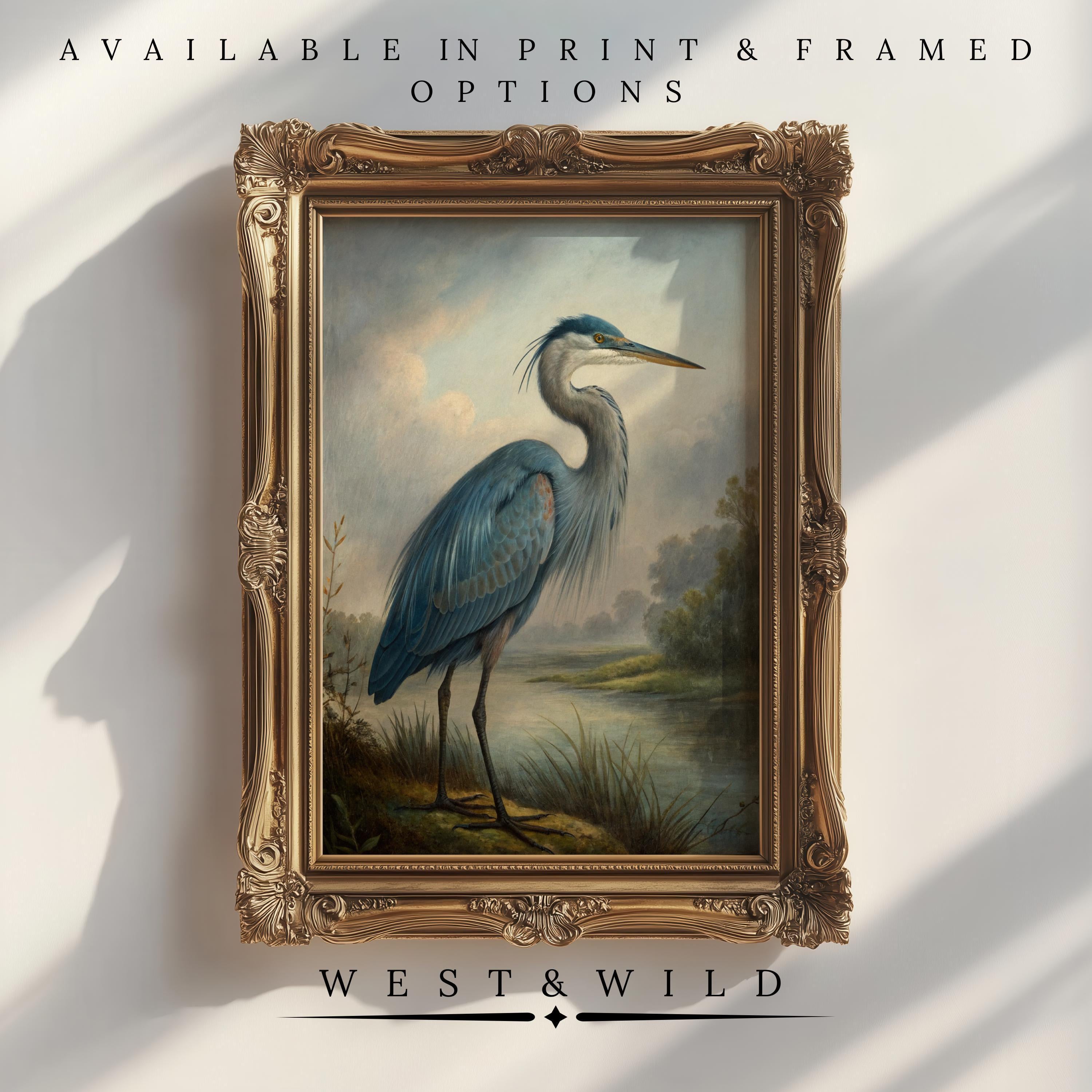 Blue Heron Wall Art – Vintage Bird Print | Classic Great Blue Heron Illustration. Features a blue heron by water in a natural landscape, ideal as farmhouse decor. Available in print & framed options. "West & Wild" below the artwork.