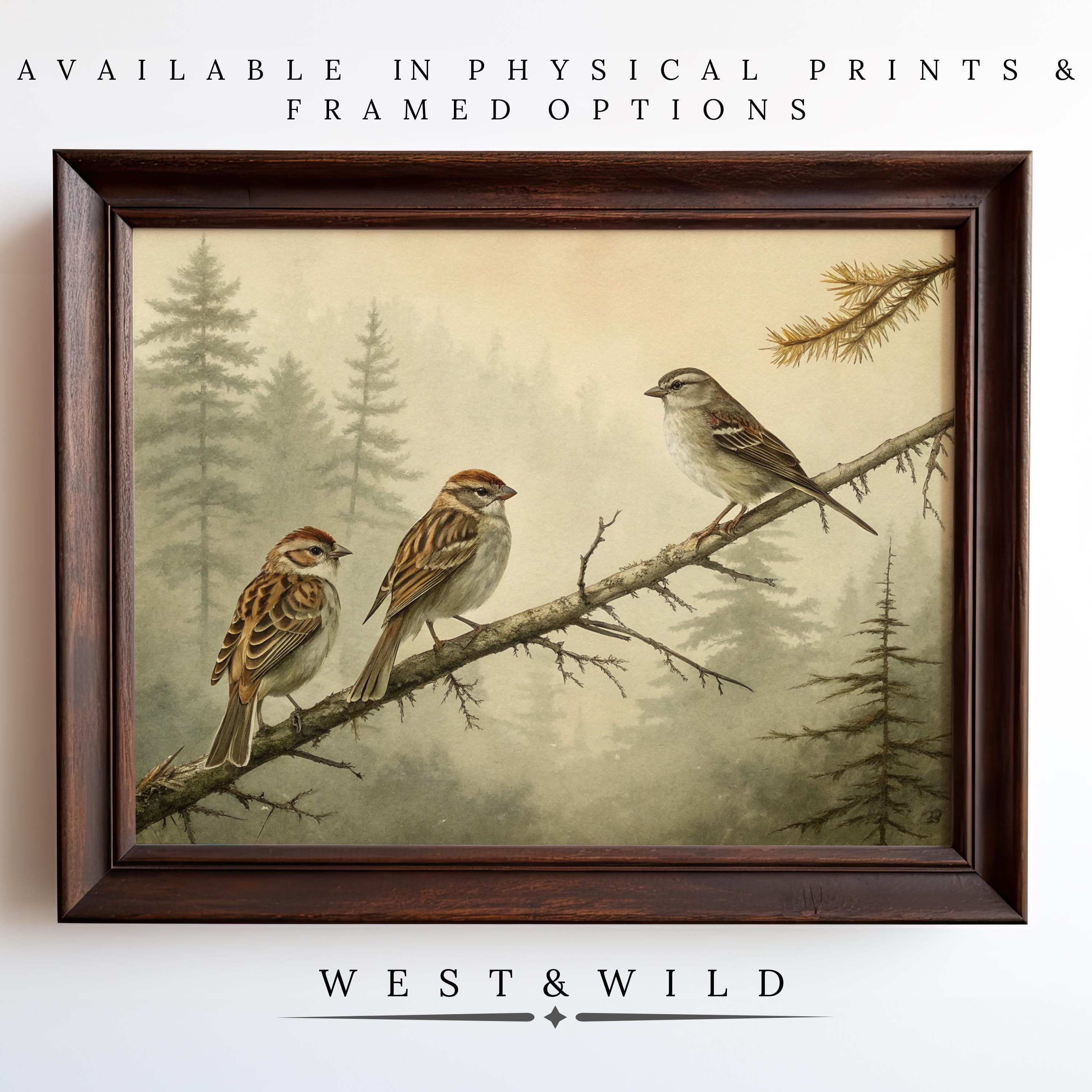 Sparrow Wall Art | Antique Style Artwork – Rustic framed art print of three sparrows on a branch with a misty forest. “Available in physical prints & framed options.” By West & Wild. Perfect vintage farmhouse wall decor.