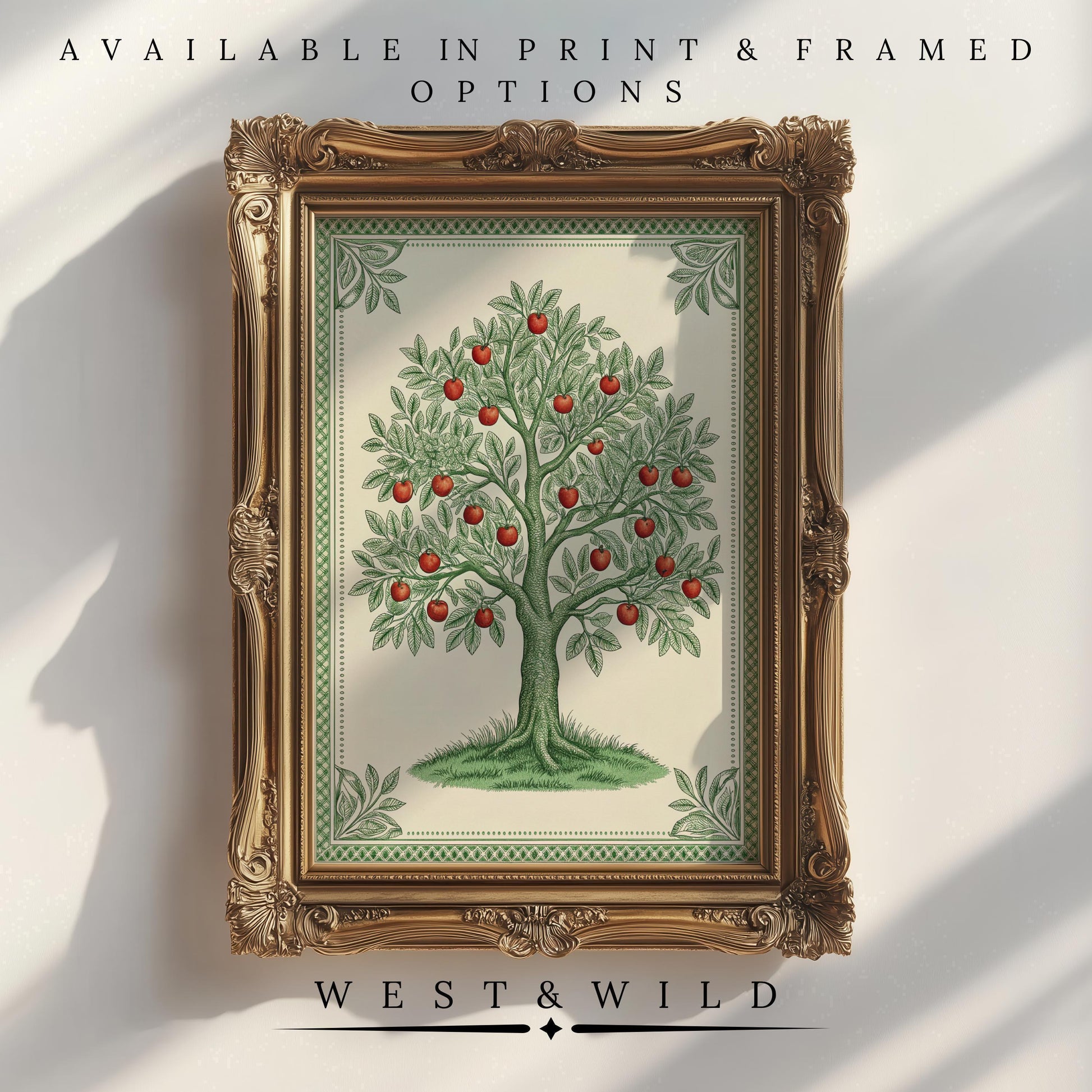A framed Vintage Tree Print – Apple Tree Illustration hangs on a white wall. Available as prints or framed art from West & Wild Art Archive. Add Victorian charm to your country home with this true vintage-inspired wall art.