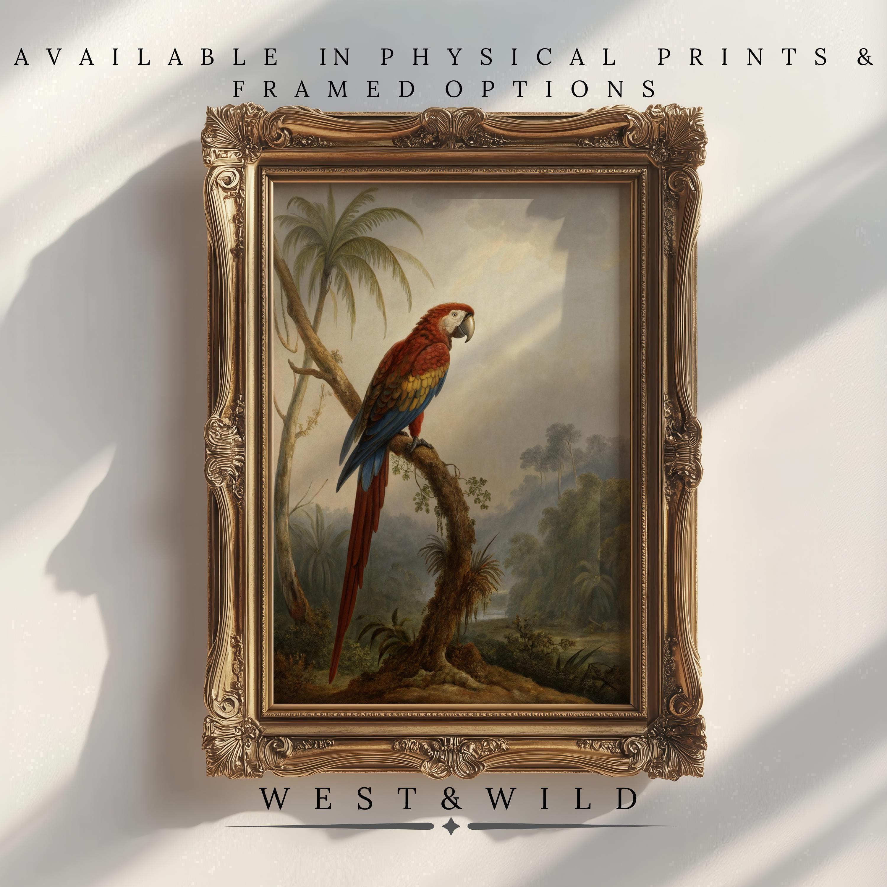 Showcasing "Parrot Art Prints – Framed Bird Prints | Vintage Parrot Wall Art Decor"—a vintage-style print of a red parrot on a branch amid palm trees. Available as archival-quality prints and framed art from the West & Wild Art Archive.