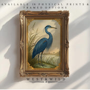 The Great Blue Heron Poster – Coastal Bird Art With Victorian Border & Classic Style Print is a vintage art print from the West & Wild Art Archive, available as high-quality physical prints and framed art.