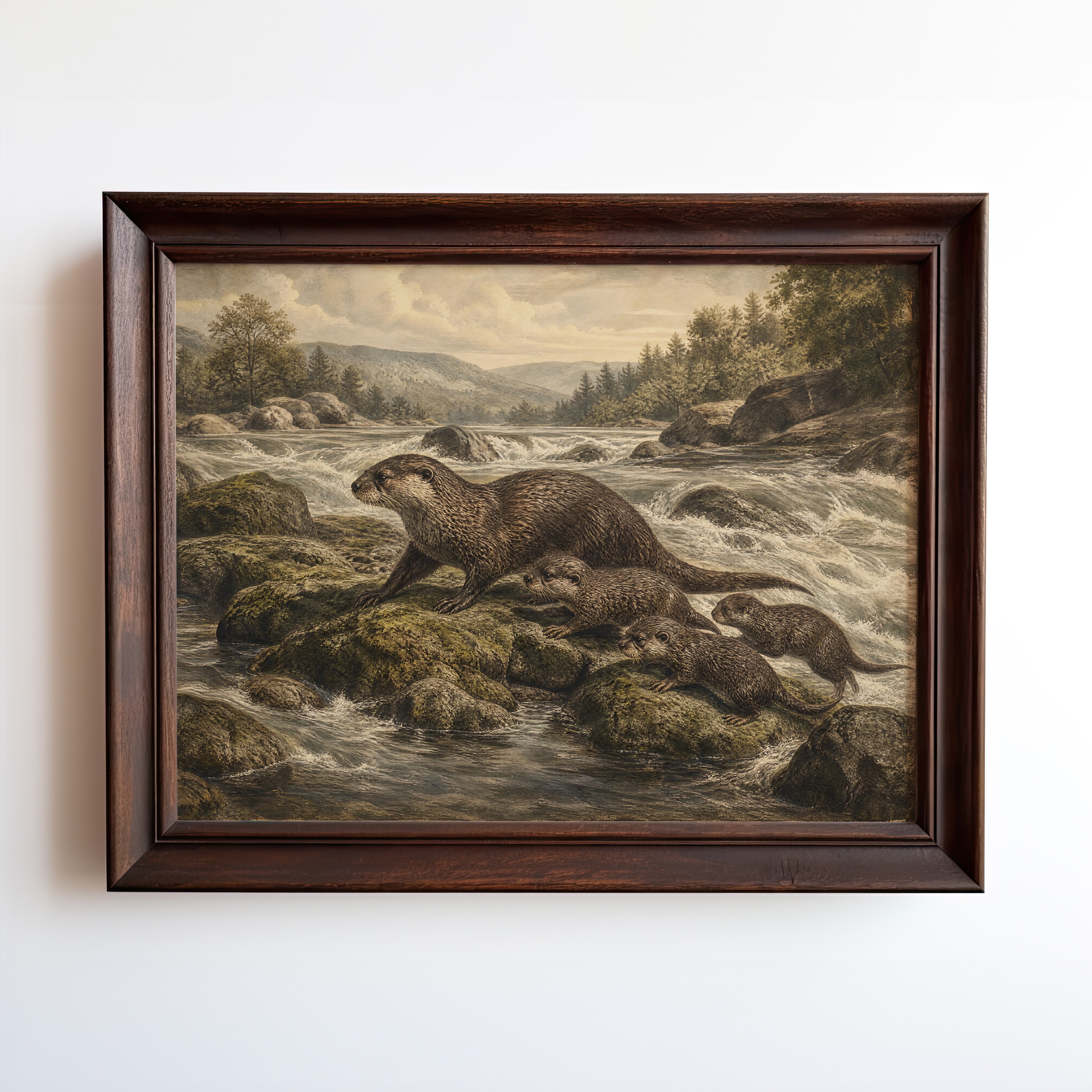 Etching-style print of an otter family in a mountain river with mossy rocks and forest backdrop