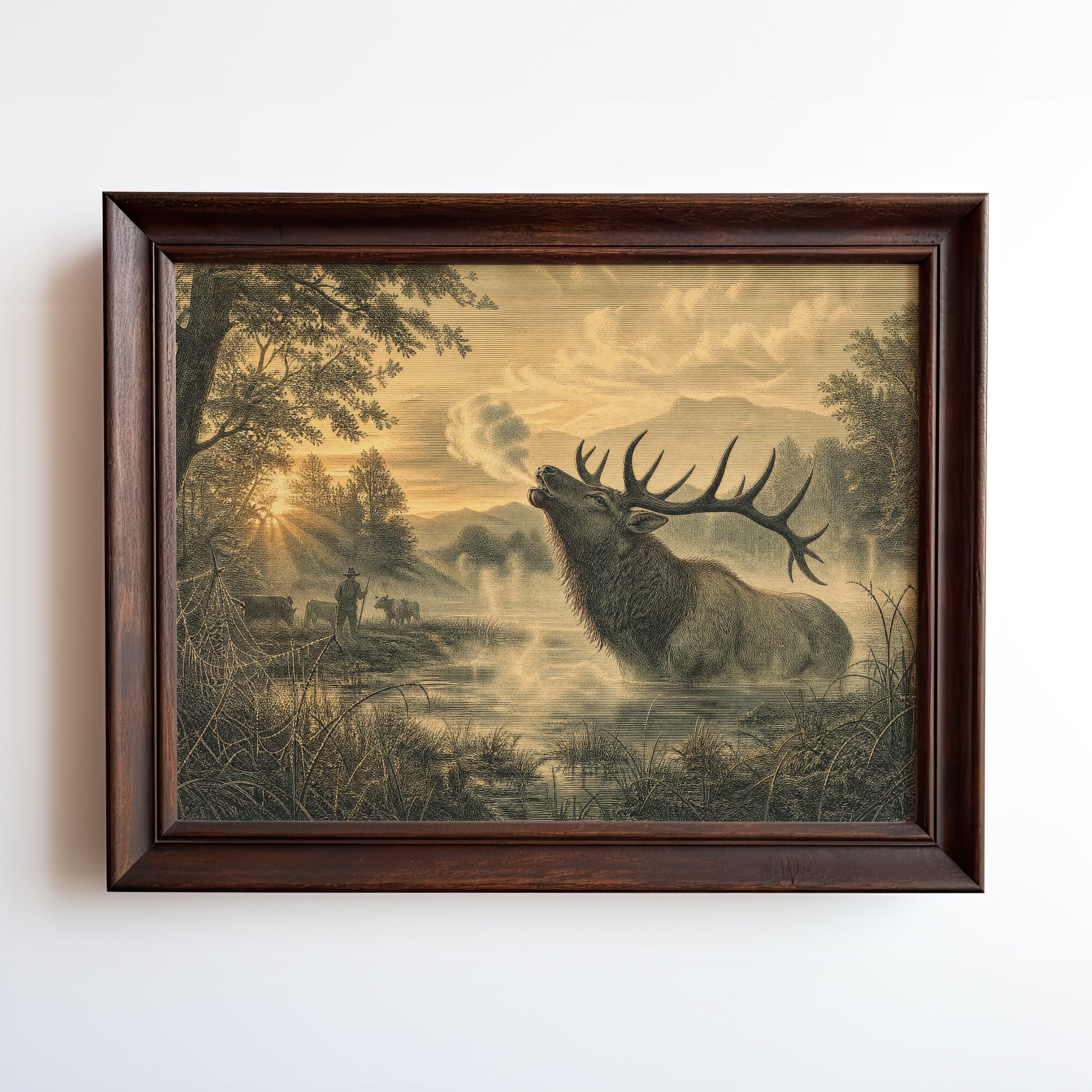 Etching-style print of a bull elk bugling in misty river valley at golden-hour dawn