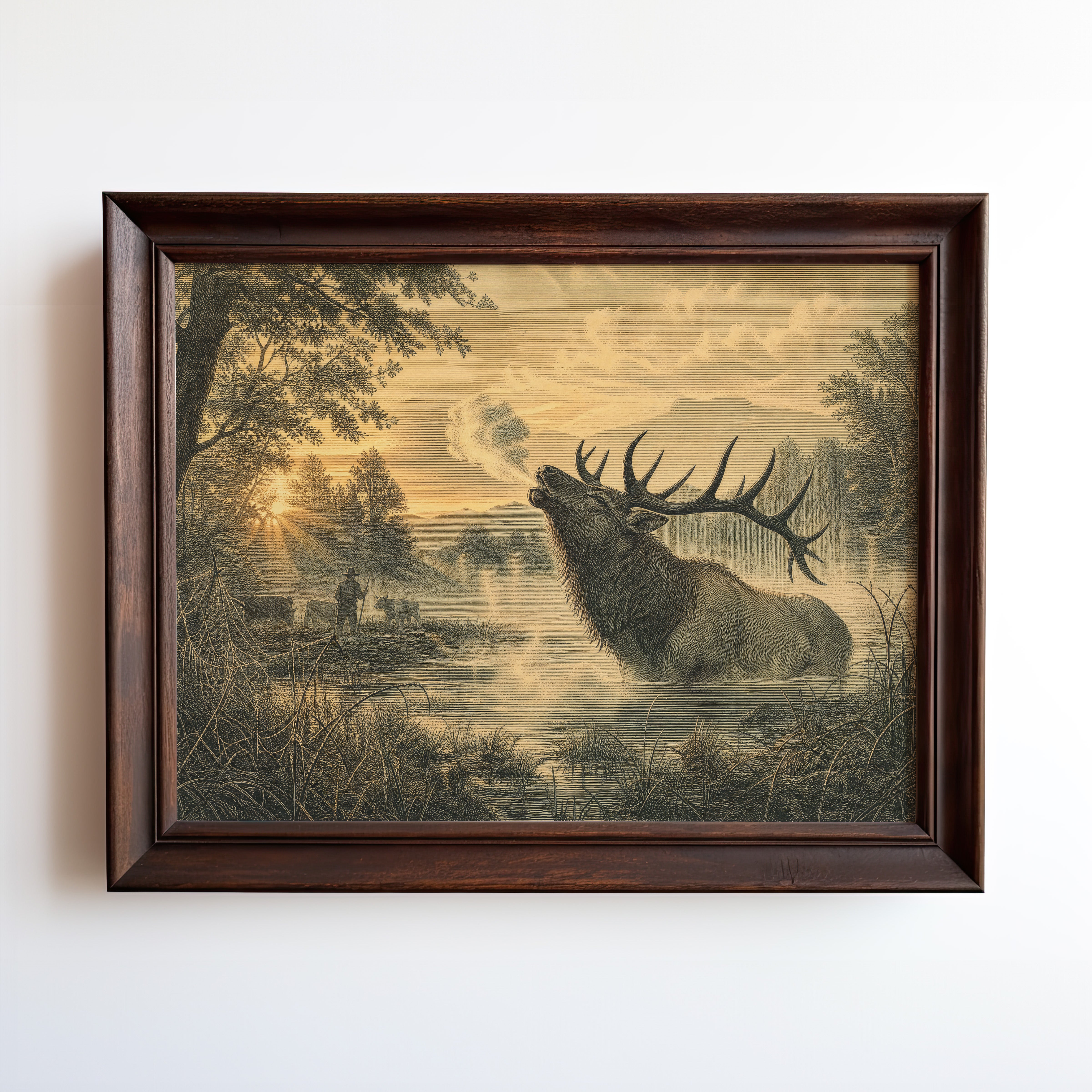 Etching-style print of a bull elk bugling in misty river valley at golden-hour dawn