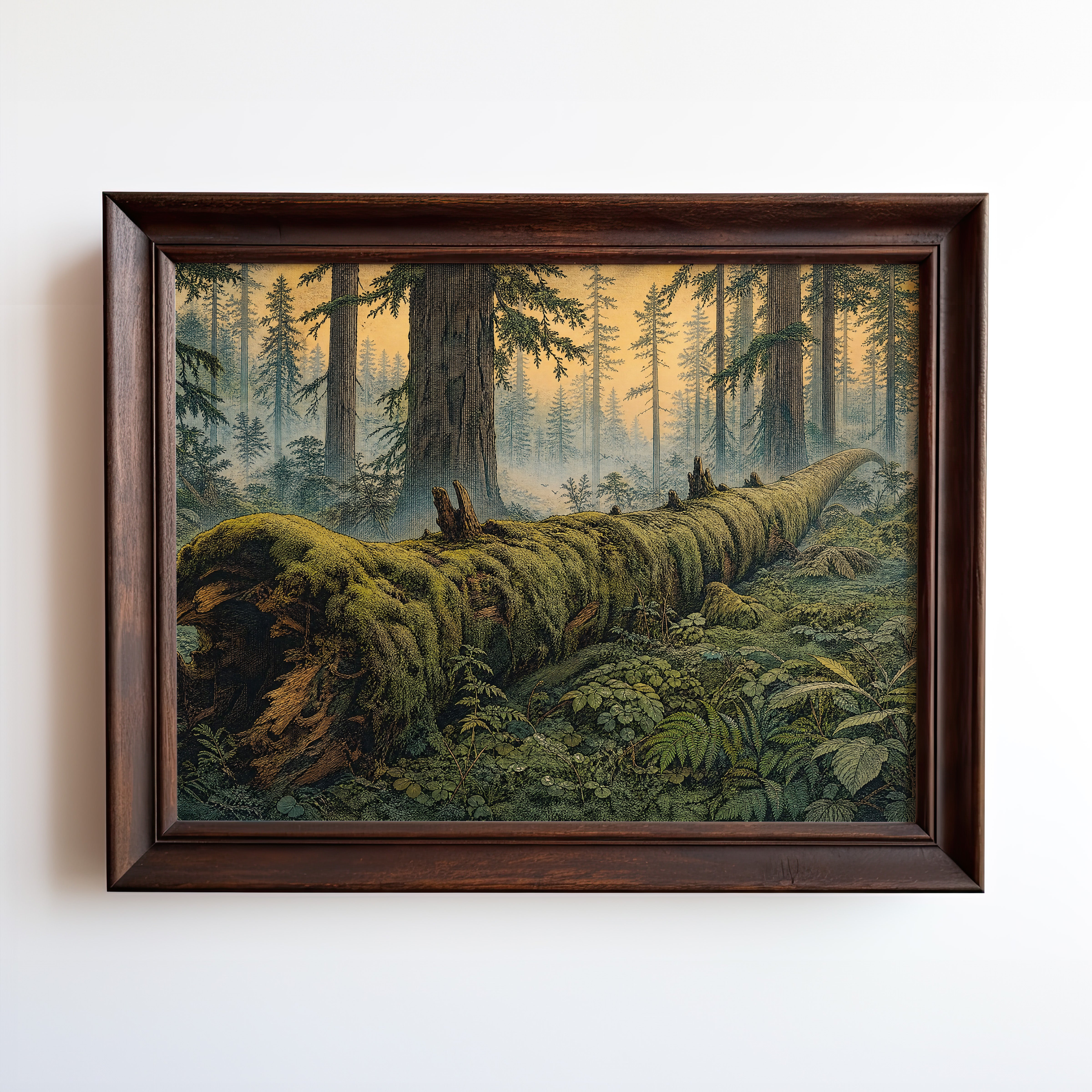 Etching-style print of a moss-covered fallen log in misty old-growth forest