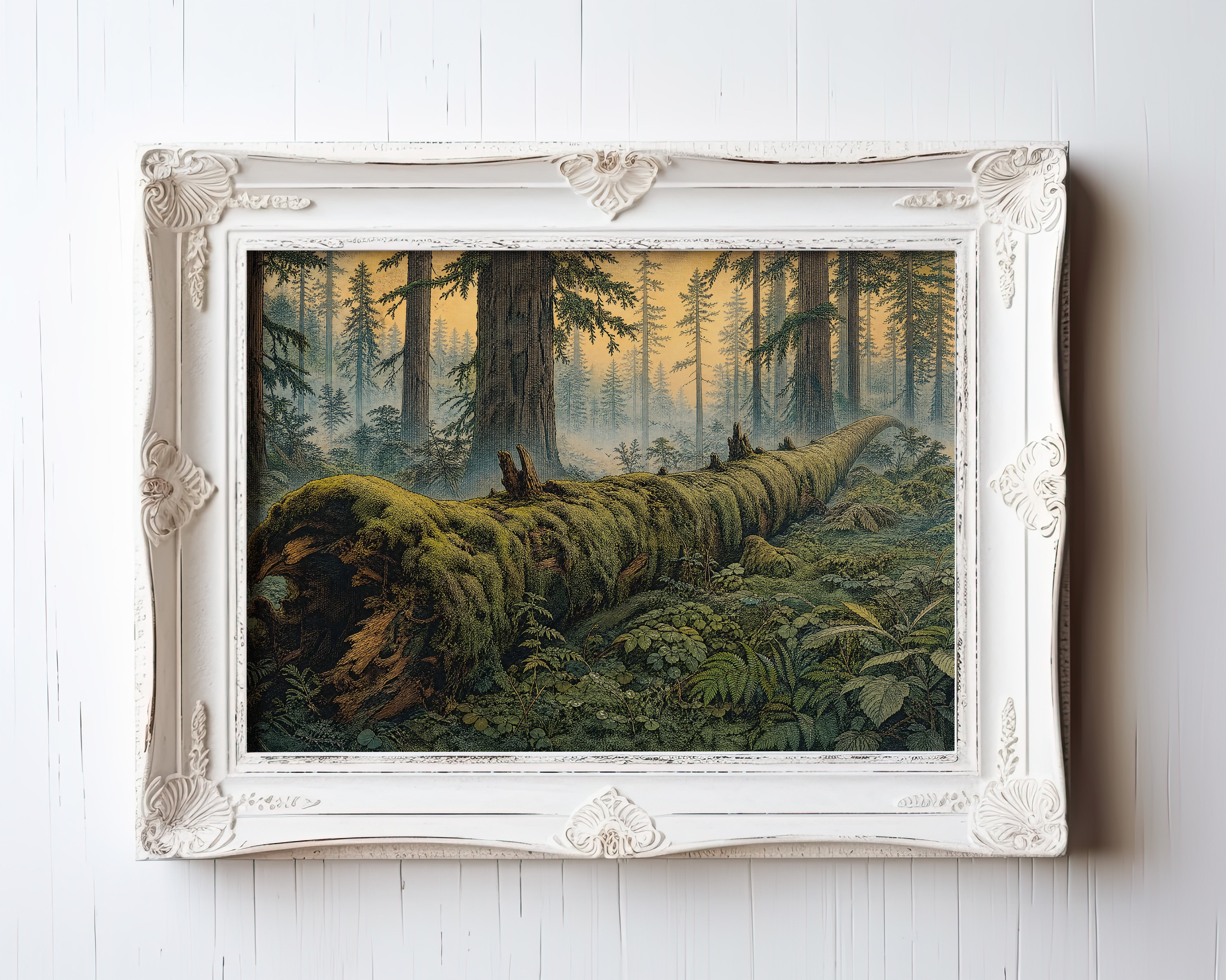 Etching-style print of a moss-covered fallen log in misty old-growth forest — view 3