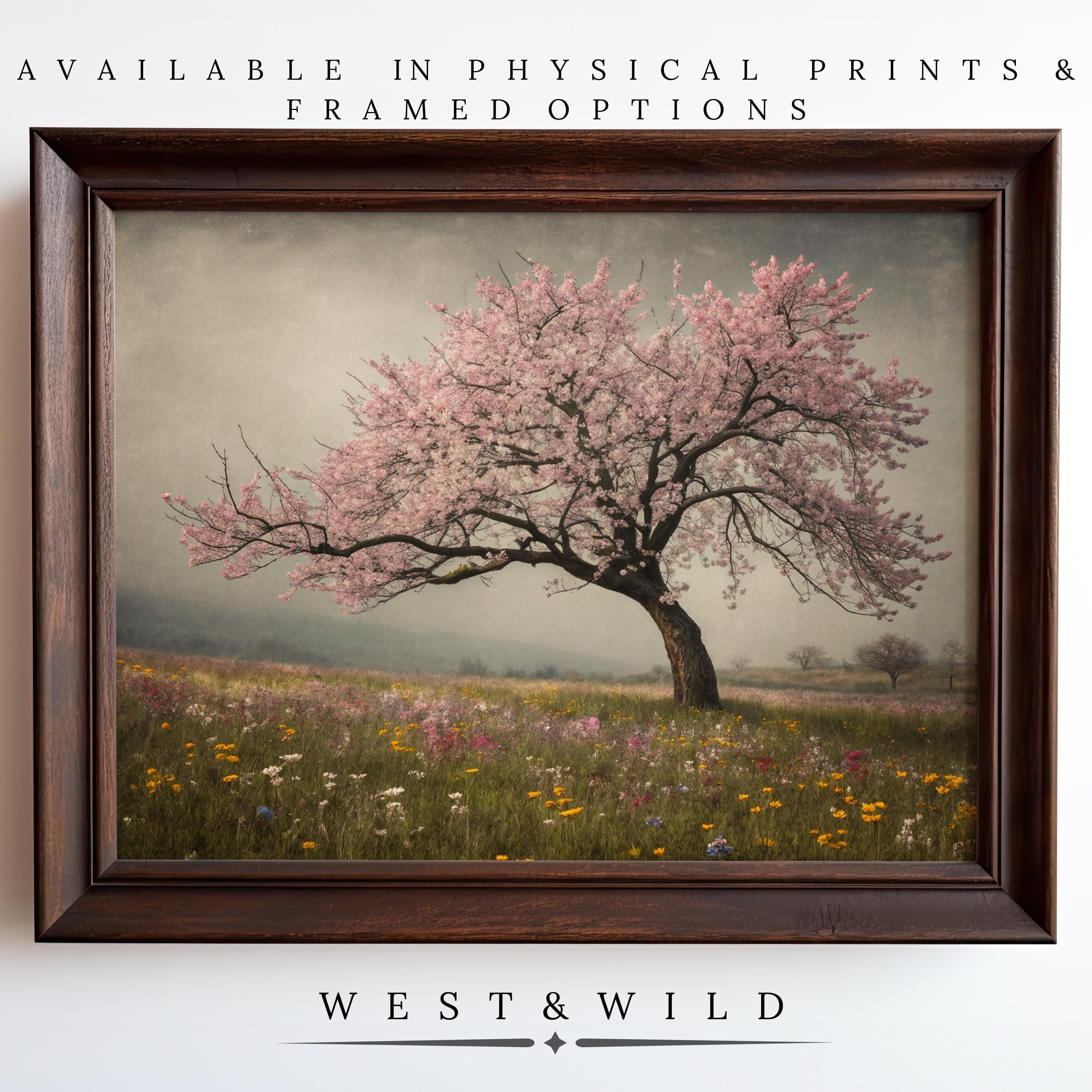 A framed Cherry Blossom Artwork – Vintage Wildflower Print features a pink tree in wildflowers. Available as physical prints & framed art. From the West & Wild Art Archive, with archival quality guaranteed.