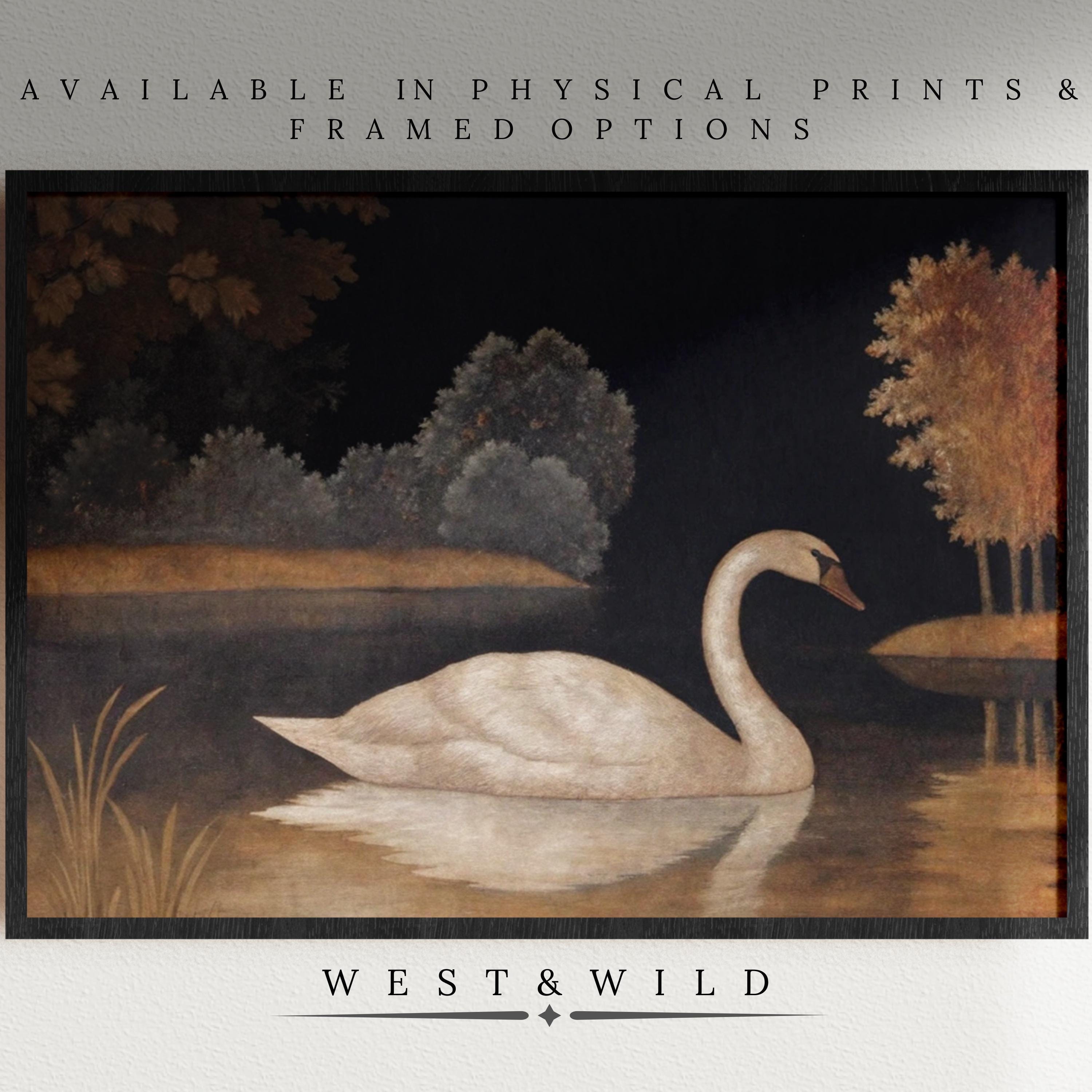 Swan Art Prints – Antique Style Prints featuring a white swan gliding on a calm pond at night, surrounded by trees. Available as archival-quality prints and framed decor from West & Wild Art Archive.