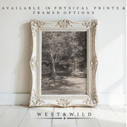 A vintage-style ornate frame displays the Muted Forest Art Painting – a black-and-white vintage landscape sketch of trees and a path – leaning against a white wall. Text: Available in prints & framed options. West & Wild Art Archive below.