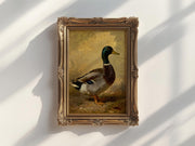 a painting of a duck in a gold frame, hanging on a white wall.