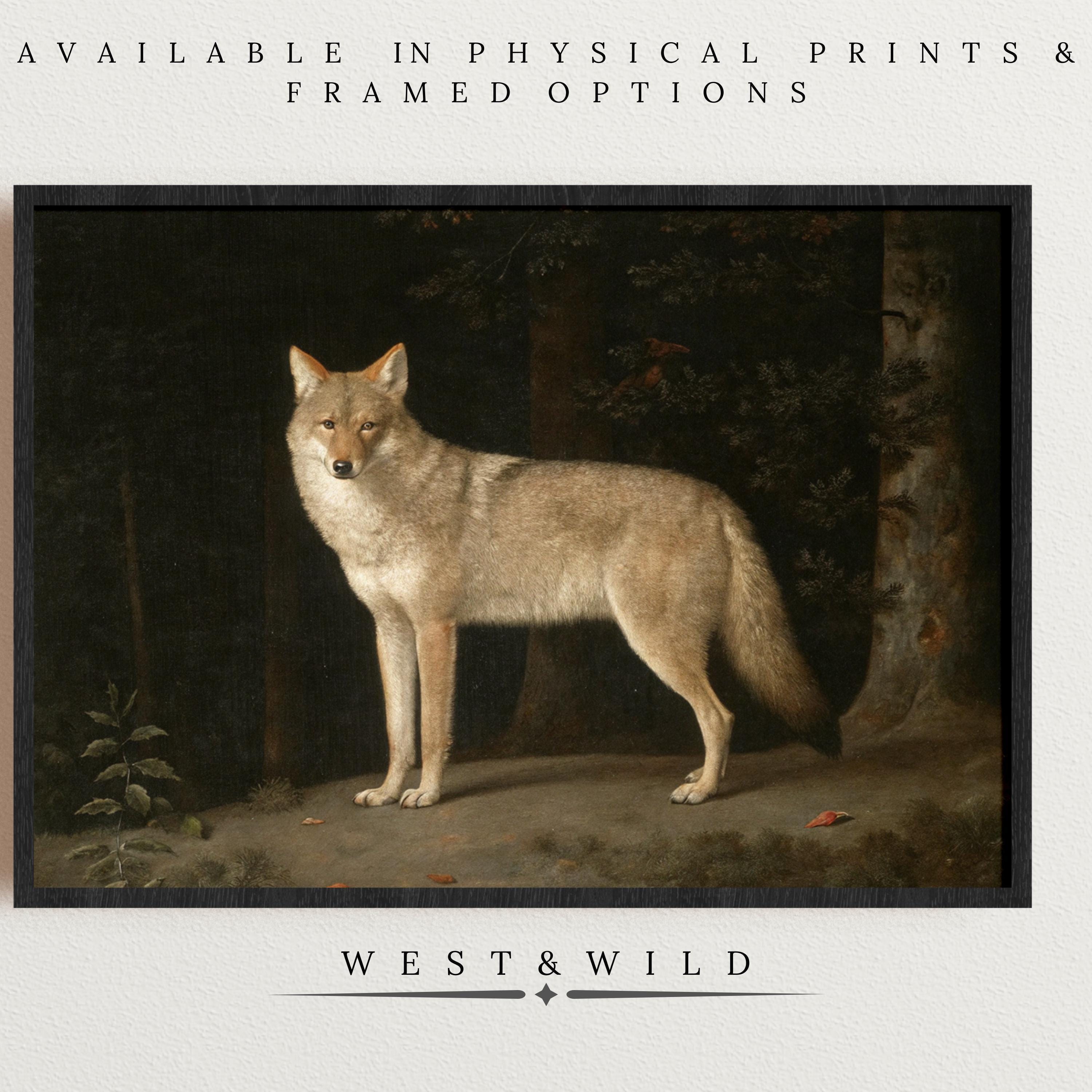 A framed Classic Coyote Forest Print with a vintage look, ideal for rustic decor. Available as physical prints and framed options; features "West & Wild" on the image.