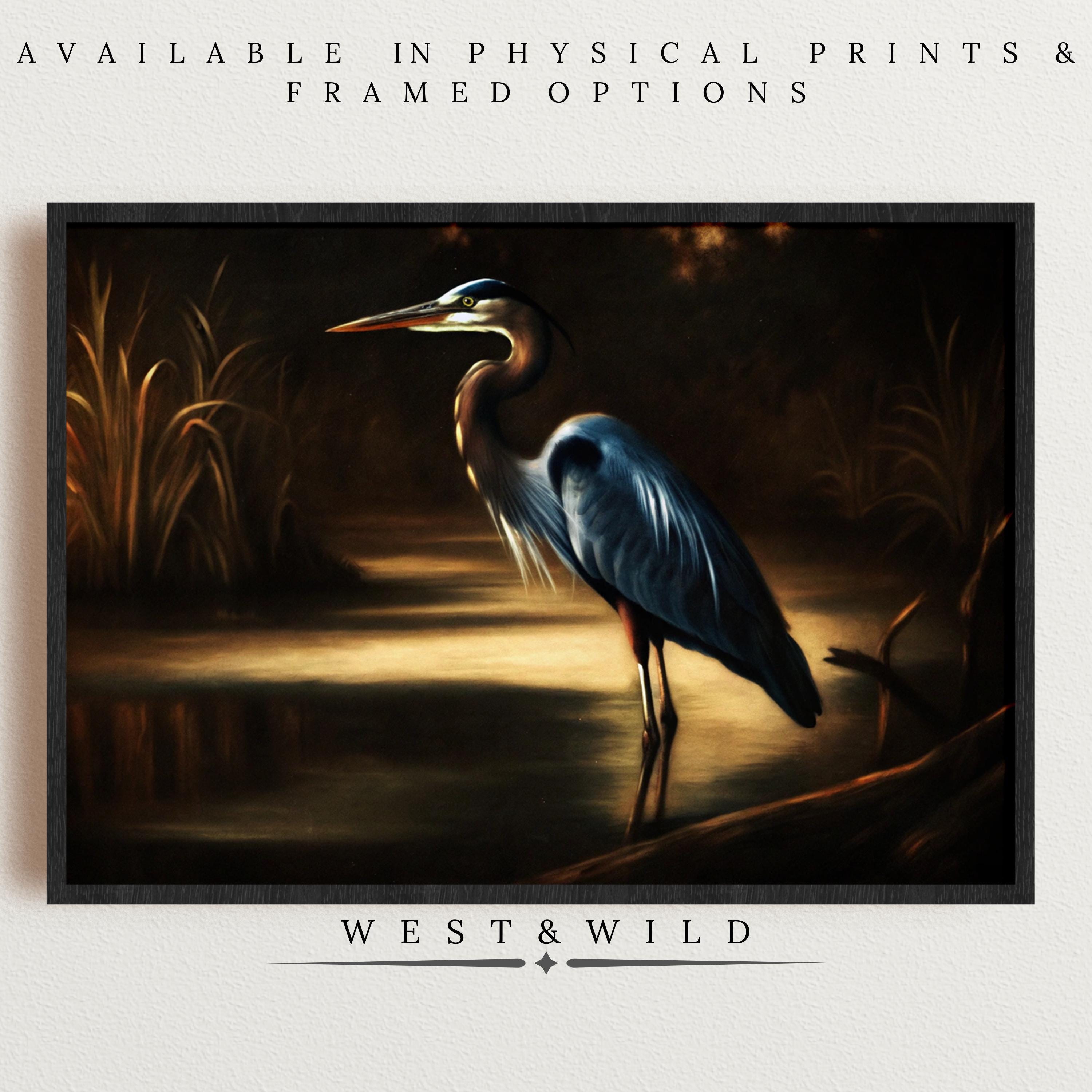 Framed Blue Heron Art Print – Serene Water Scene with reeds, featuring “West & Wild.” Available as physical prints & framed options. Vintage style wildlife wall decor for any space.