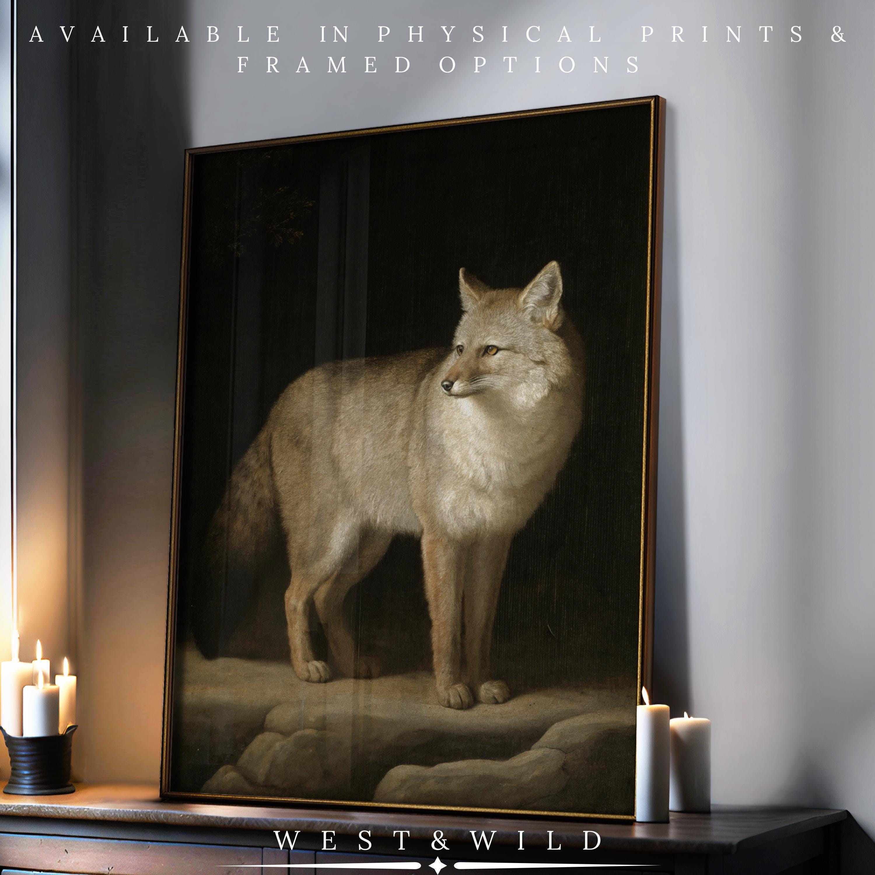 The Coyote Framed Print – Rustic Cabin Art features a vintage-style coyote on snowy ground, displayed with lit candles. Available as archival quality prints & framed art from West & Wild Art Archive. Classic wolf painting wall decor.
