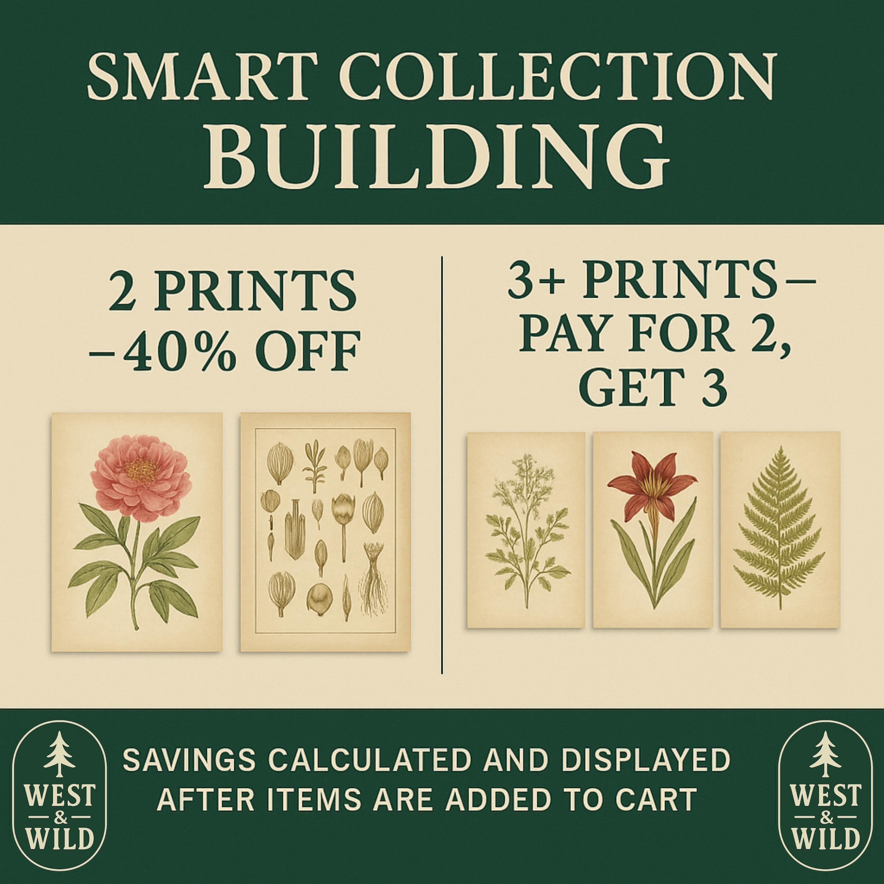 A promo graphic for West & Wilds Smart Collection, spotlighting the Flowering Vine Wall Art – Framed Botanical Art Print on a green background. Enjoy 40% off 2 prints, or “pay for 2, get 3” when you buy 3+ prints.