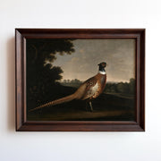 The Vintage Pheasant Print – Framed Cabin Wall Art features a pheasant in a rustic landscape, bringing countryside elegance and farmhouse charm to your space when displayed on any wall.