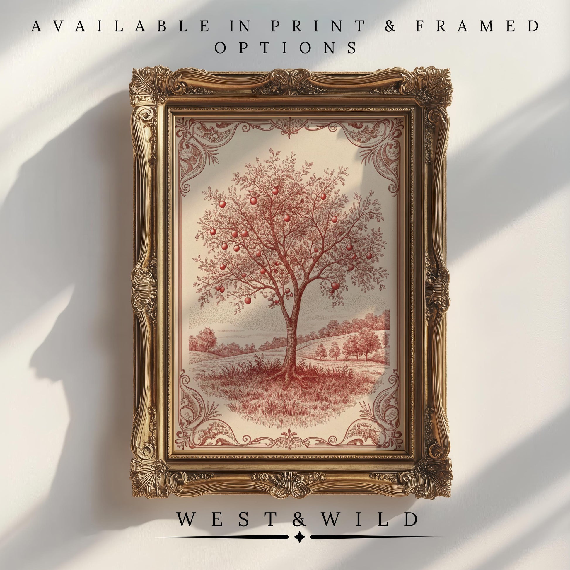 A vintage sketch of an orange tree from the West & Wild Art Archive hangs on the wall. Choose print or framed options for this Victorian botanical etching—archival quality ensures lasting beauty. Product: Vintage Tree Sketch Print.