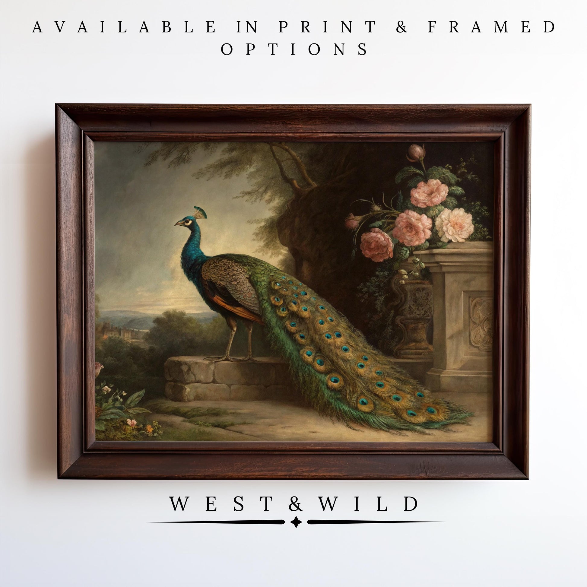 Vintage Peacock Art