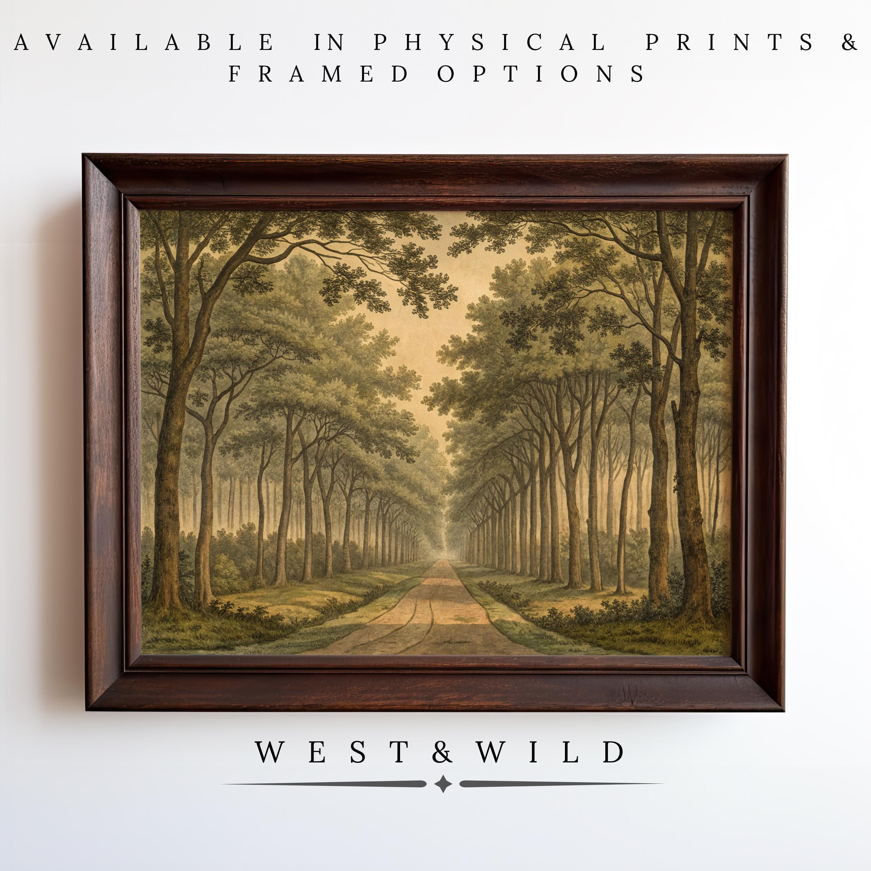 A Pine Forest Wall Art from West & Wild features a vintage tree-lined path, displayed on a white wall. Text above and below reads: Available as physical prints & framed art, West & Wild. Archival quality ensured.