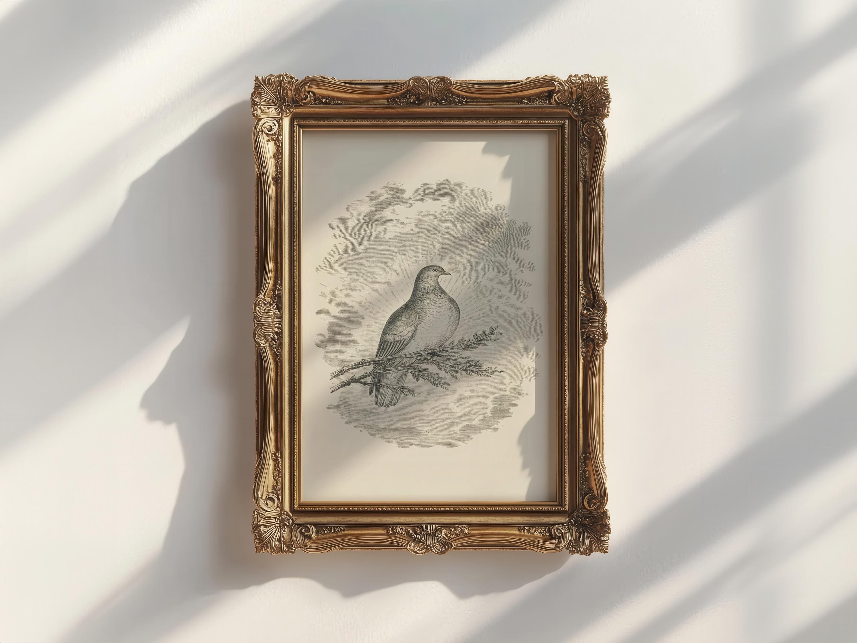 a vintage-style illustration of a bird, possibly a dove, perched on a branch within an ornate gold frame.
