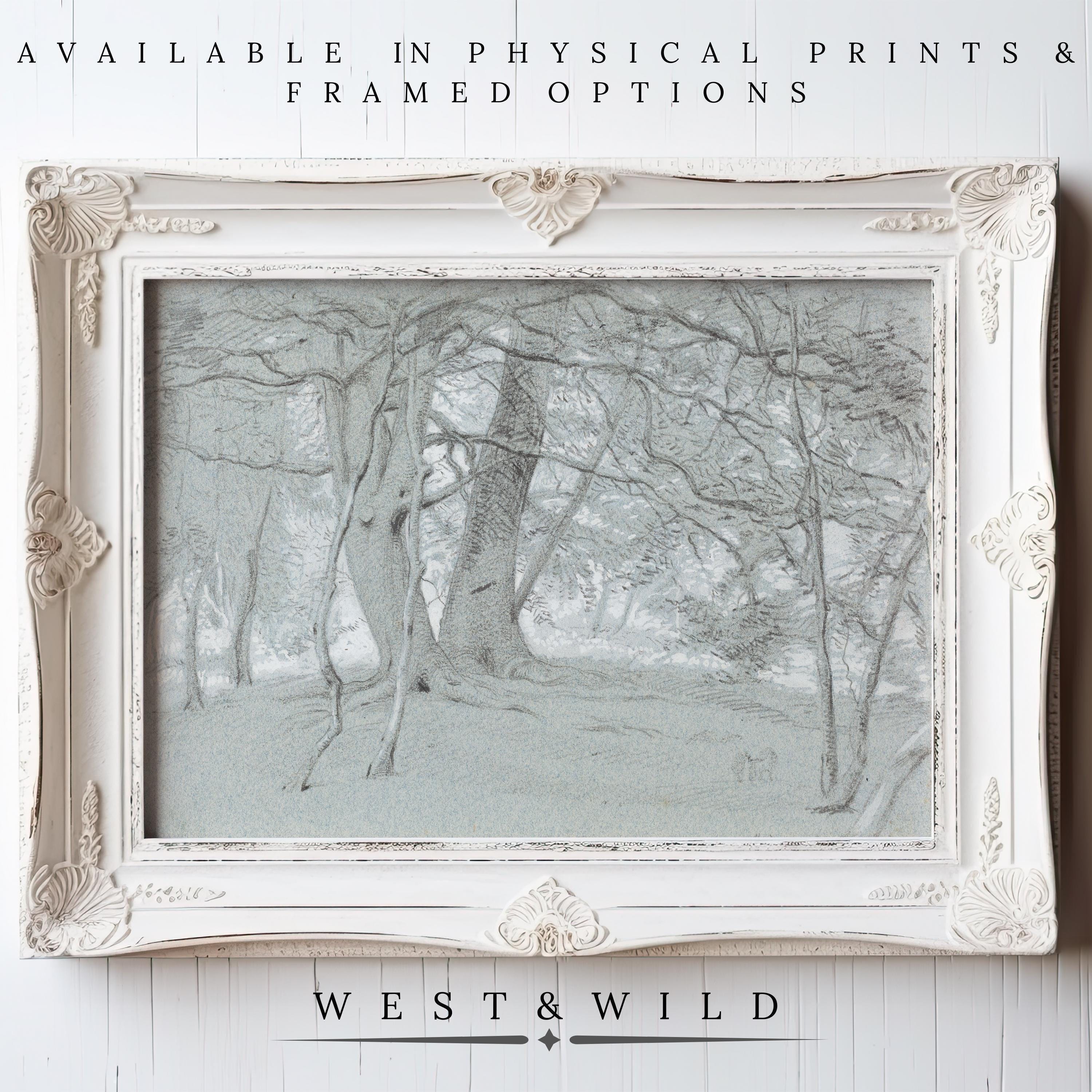 Muted Forest Wall Art – a vintage print from the West & Wild Art Archive features serene woodlands in neutral mint green tones. Available as archival quality prints or in ornate white frames for a timeless, elegant look.