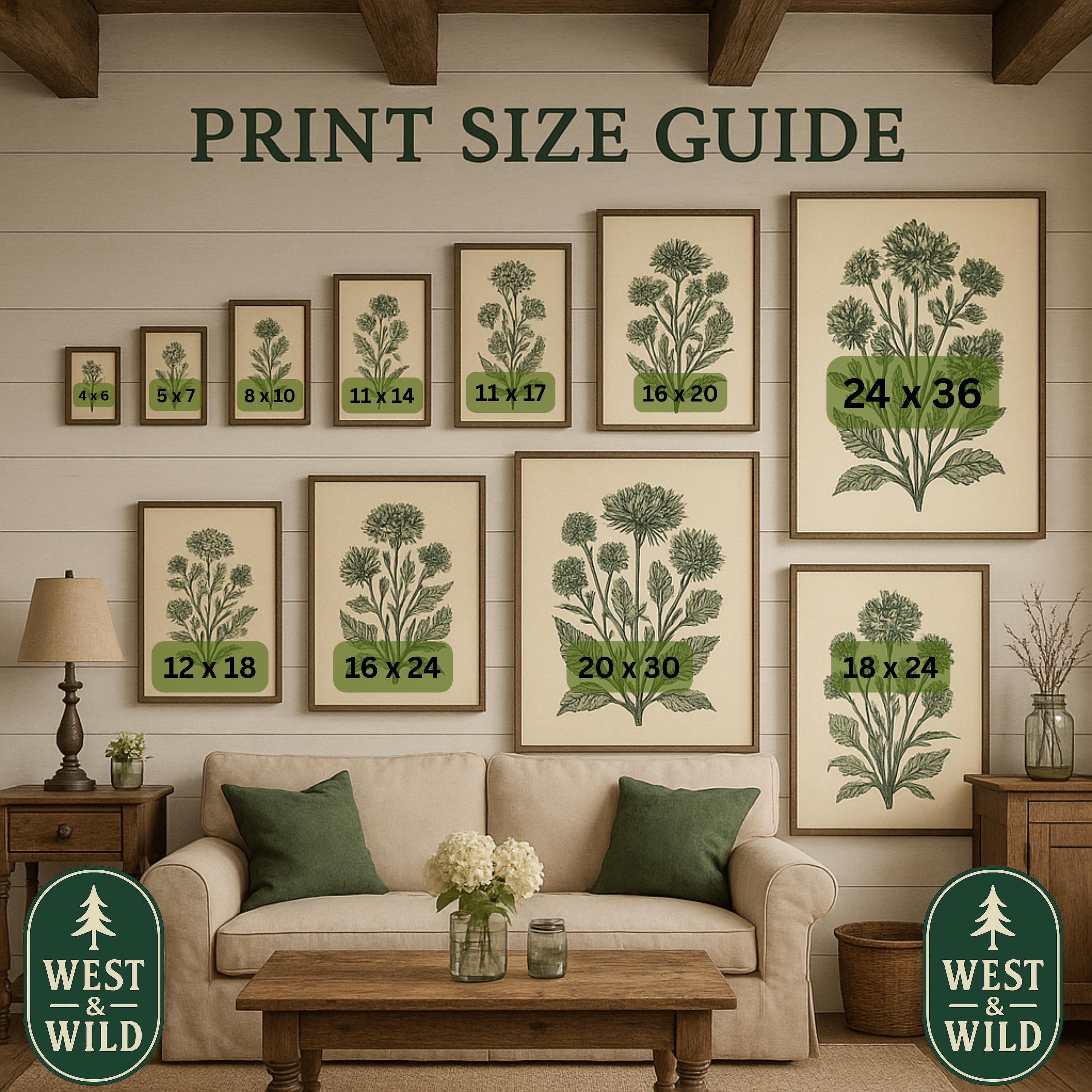 A display of 10 Vintage Pheasant Print – Framed Cabin Wall Art pieces in assorted sizes is arranged on a white shiplap wall above a beige sofa. Text reads Print Size Guide, with sizes labeled and two West & Wild logos in the corners.