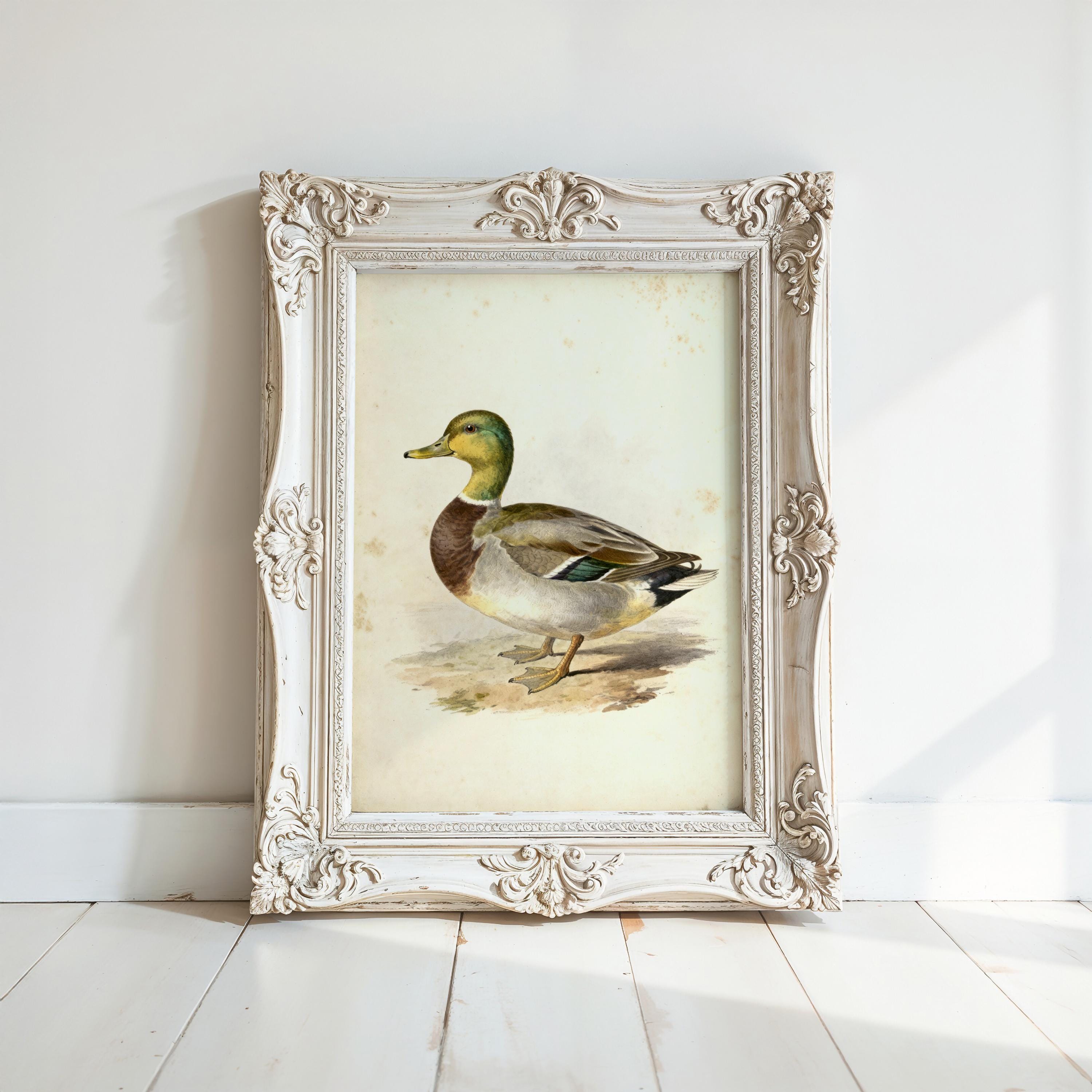 a white ornate frame containing a painting of a duck.