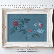 The Teal Wall Art – Vintage Botanical Art Print With Rose Floral Illustration features red and pink roses with green leaves on a blue background. Available as physical prints and in framed options from West & Wild.