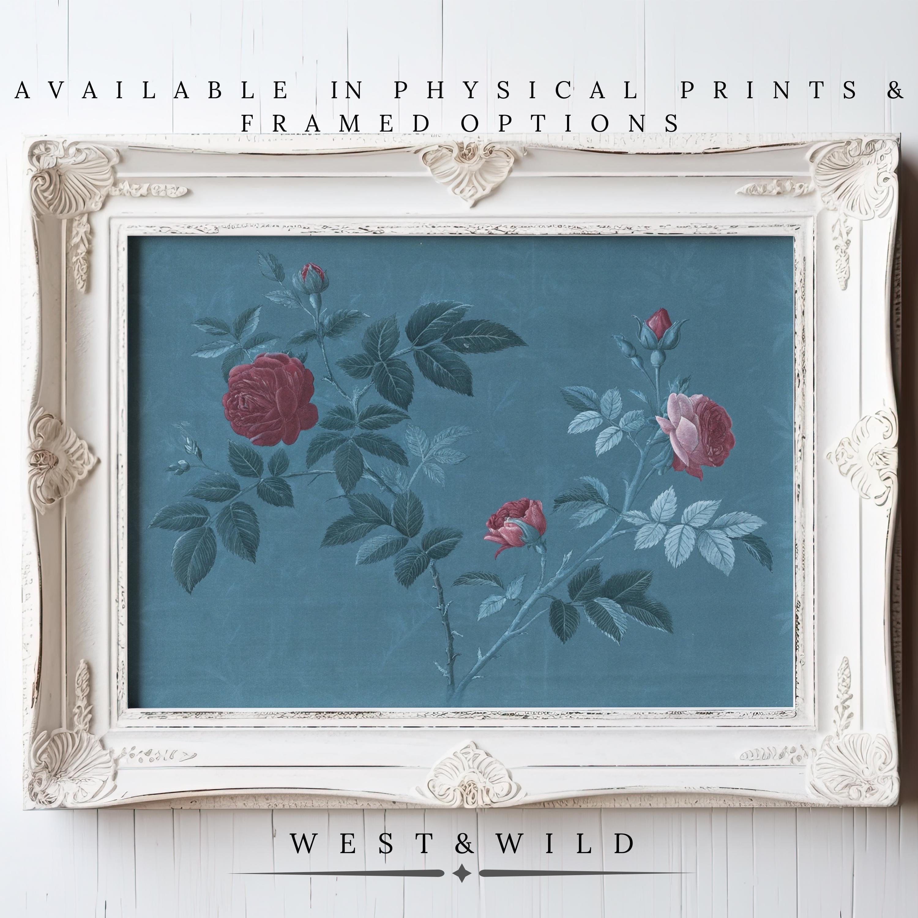The Teal Wall Art – Vintage Botanical Art Print With Rose Floral Illustration features red and pink roses with green leaves on a blue background. Available as physical prints and in framed options from West & Wild.
