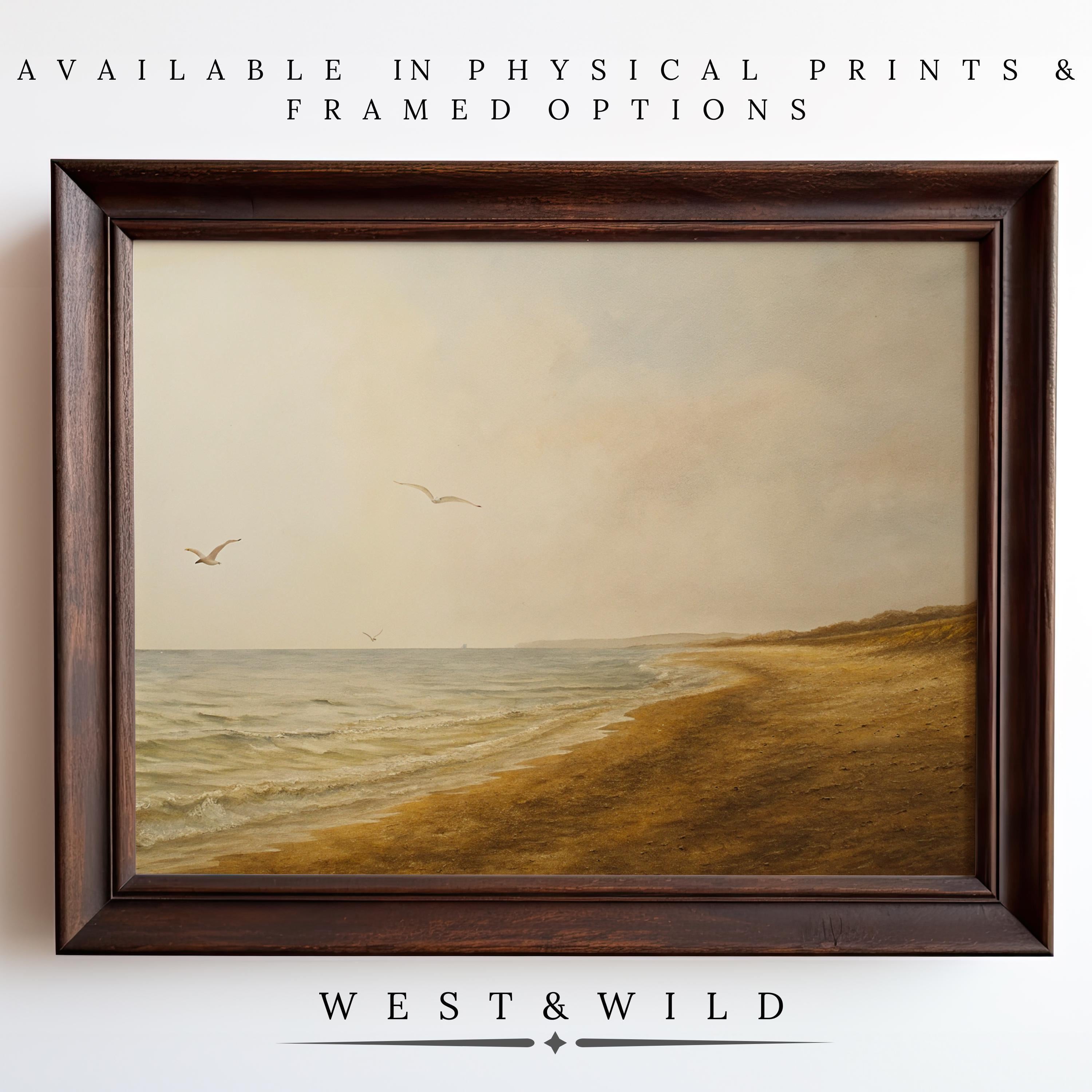Vintage Beach Art – Serene East Coast Coastal Wall Art Prints featuring a sandy beach, gentle waves, cloudy sky, and three seagulls. Available as vintage art prints or framed art with the WEST & WILD logo shown below.
