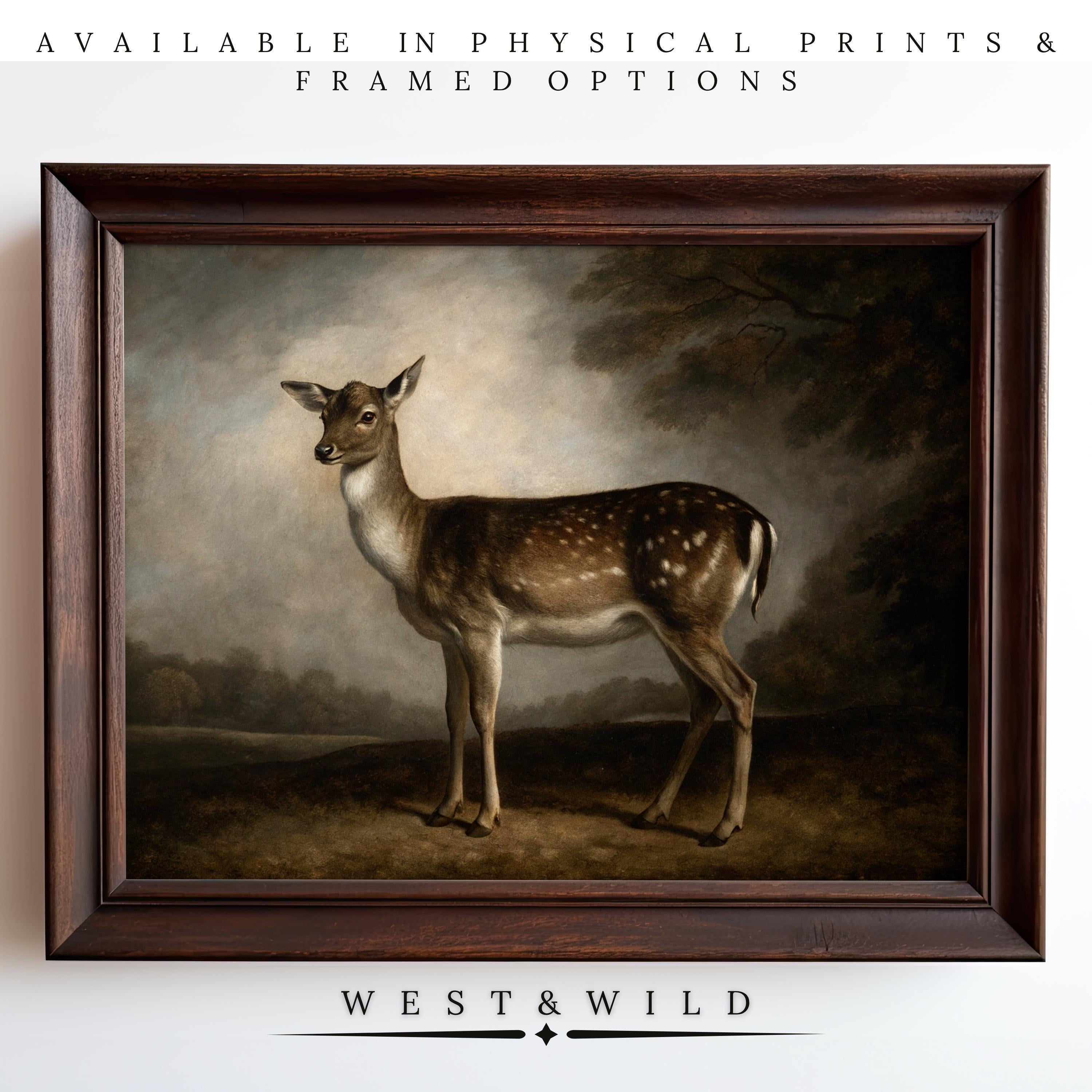 A framed Deer Wall Art Print – Framed Cabin Wall Art shows a standing deer with white spots in a subtle landscape. Discover physical prints and framed deer wall art options from West & Wild.