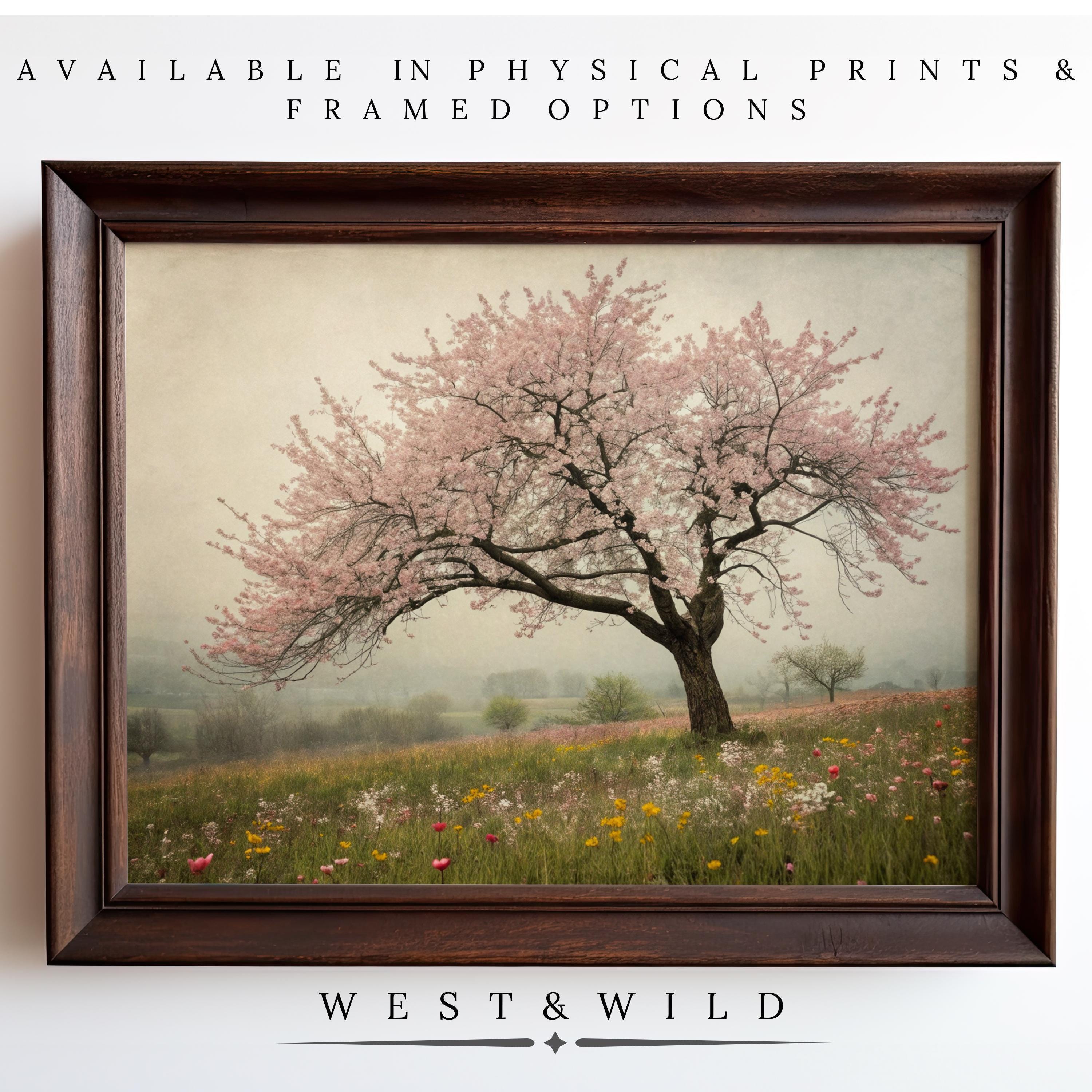 A framed Pink Blossom Art Print – Wildflower Wall Art is displayed on the wall, featuring a misty field with wildflowers. Text above and below reads: Available in prints & framed options • WEST & WILD ART ARCHIVE.