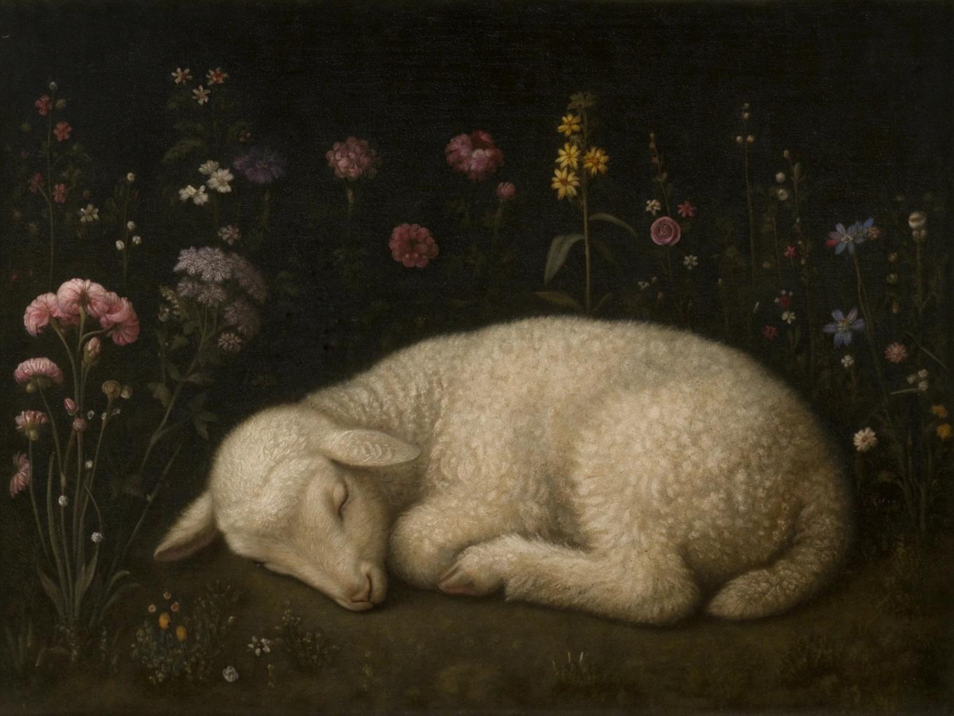 A white lamb sleeps curled up among flowers against a dark background in this serene Vintage Lamb Art Print – Sleeping Lamb Among Flowers, part of our Pastoral Animal Art collection from West & Wild's Vintage Art Prints.