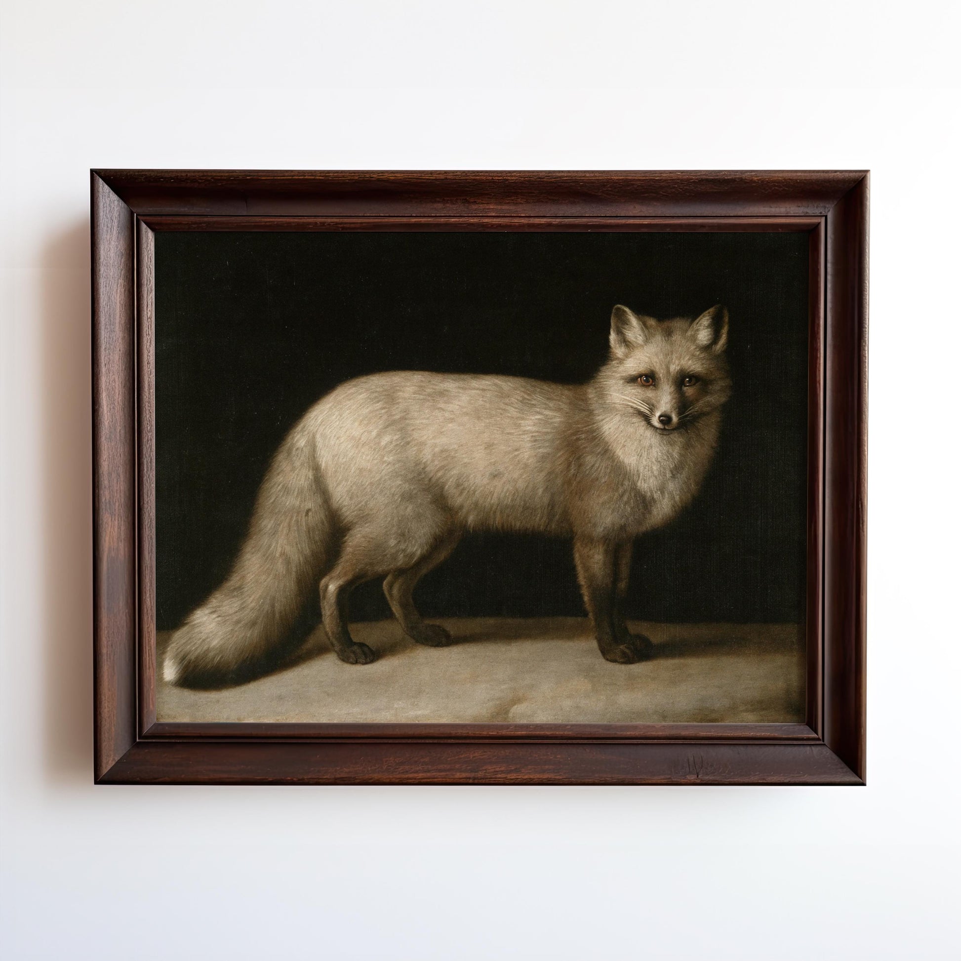 A framed Vintage Fox Art Print featuring a standing fox with light fur and a forest background, printed on archival matte paper. Part of the West & Wild Art Archive, this vintage artwork is designed for lasting quality.