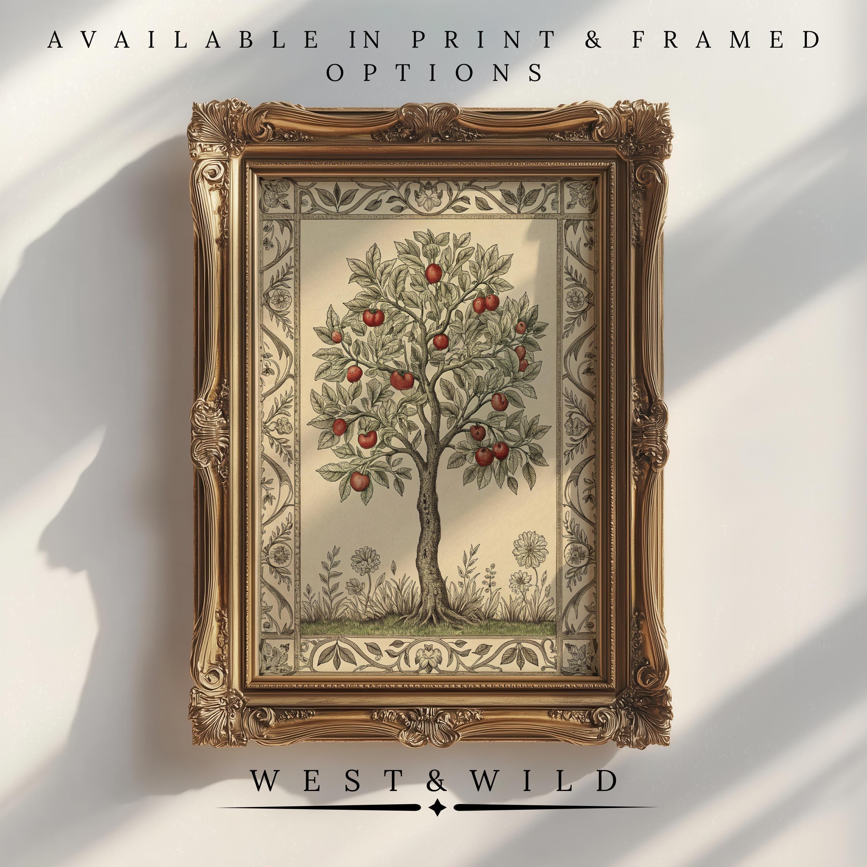 Victorian Tree Wall Art - Vintage Sketch Print features a fruit tree with red and yellow apples, ornate floral patterns, and soft sunlight. Available as print or framed by West & Wild—perfect rustic kitchen decor.
